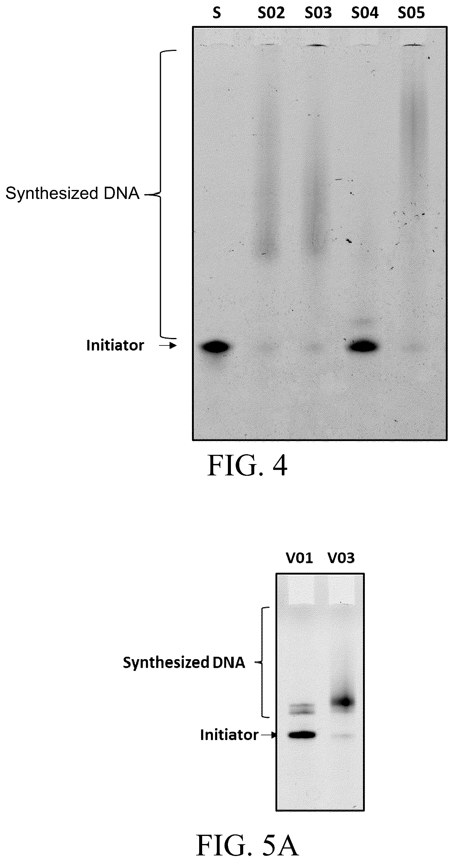 Patent US12098396 Figure 12 – Polymerase variants for template-independent enzymatic nucleic acids synthesis and kit comprising the same