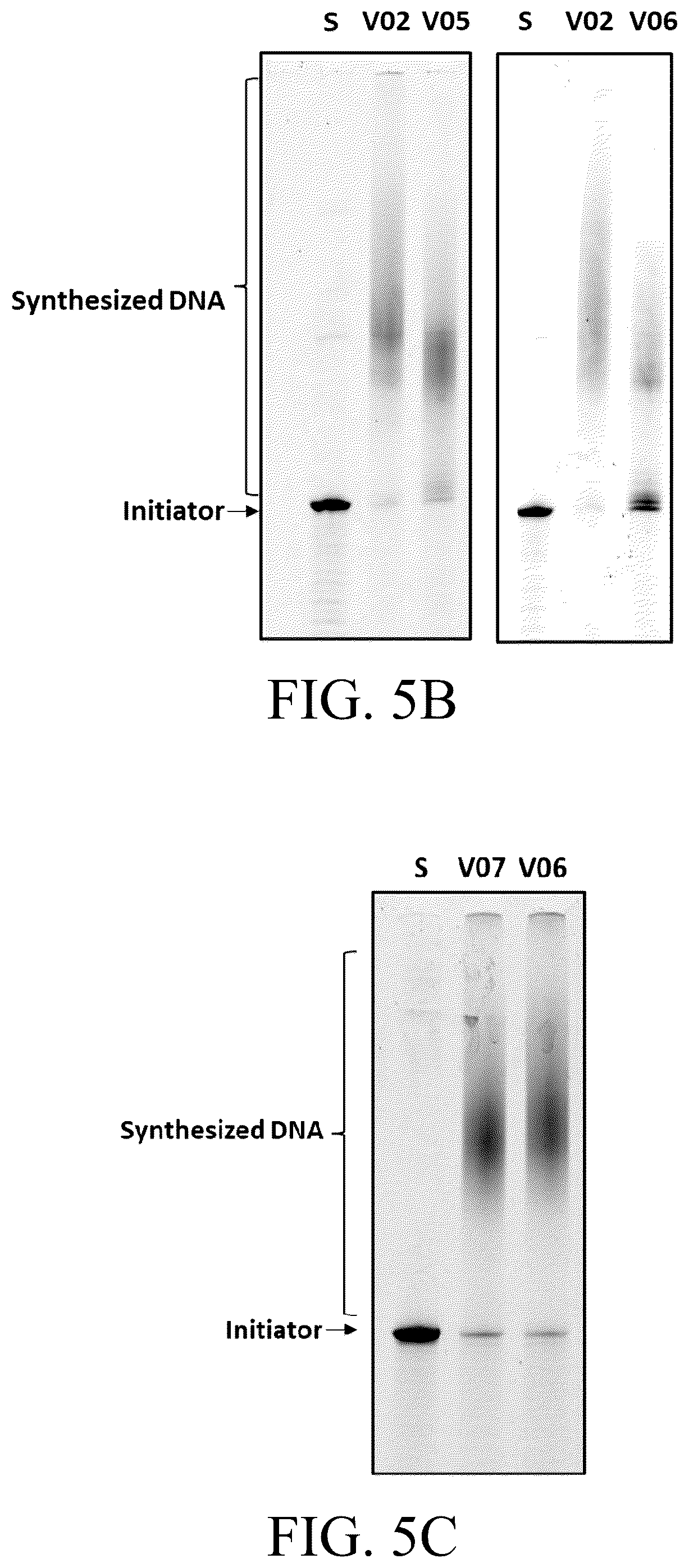 Patent US12098396 Figure 13 – Polymerase variants for template-independent enzymatic nucleic acids synthesis and kit comprising the same