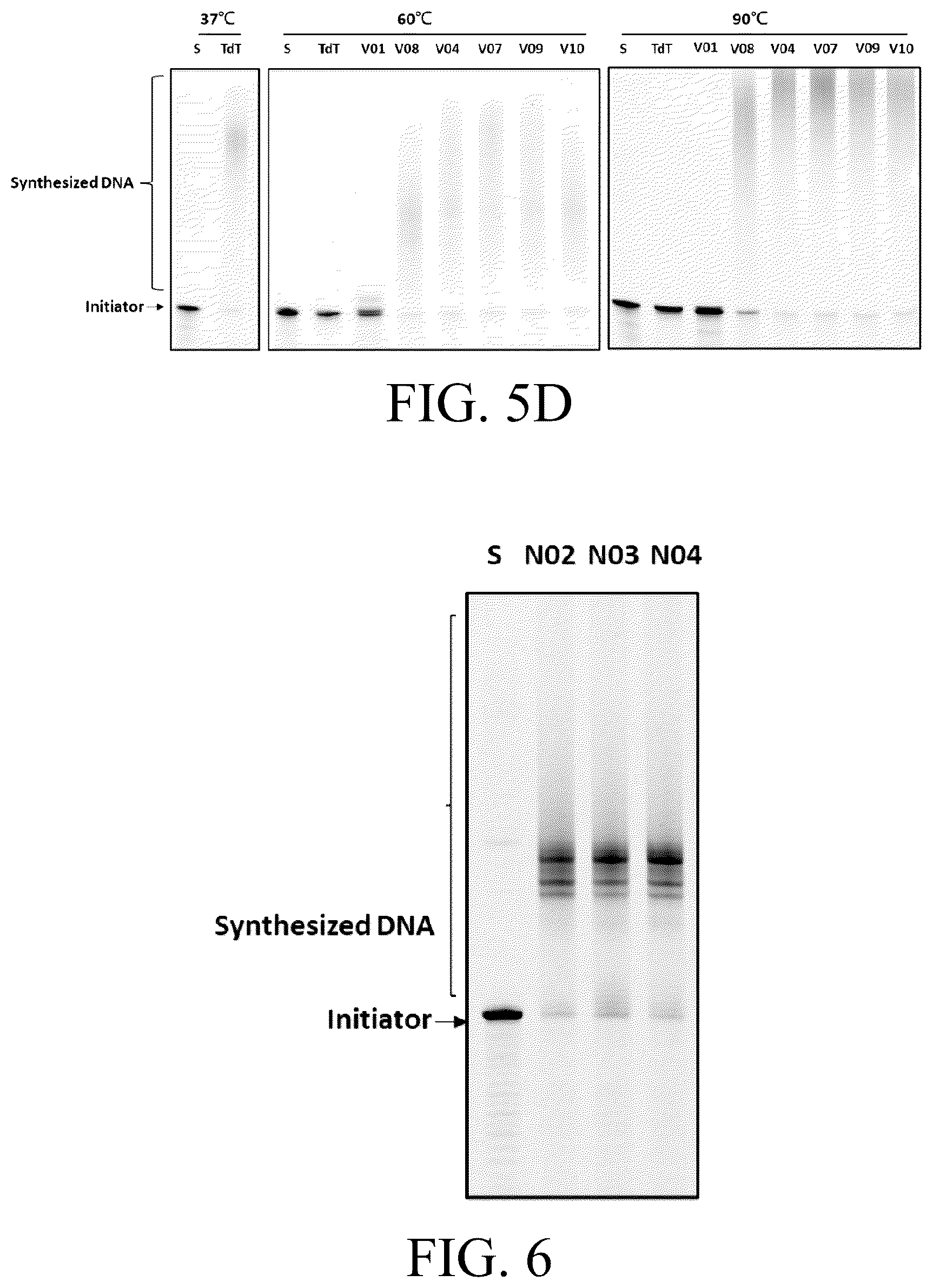 Patent US12098396 Figure 14 – Polymerase variants for template-independent enzymatic nucleic acids synthesis and kit comprising the same