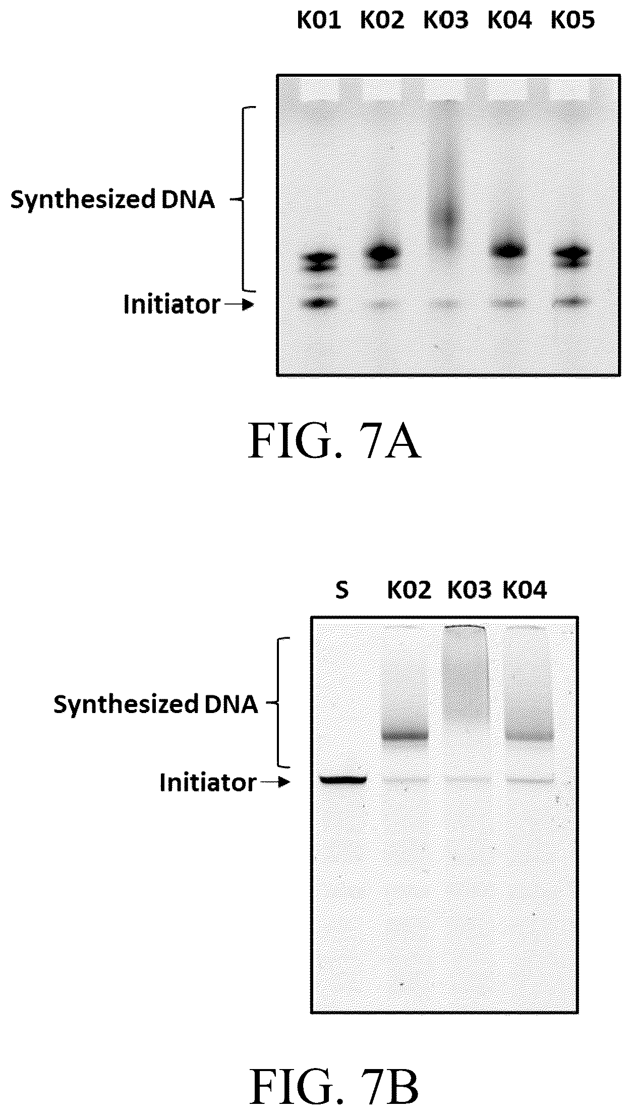 Patent US12098396 Figure 15 – Polymerase variants for template-independent enzymatic nucleic acids synthesis and kit comprising the same