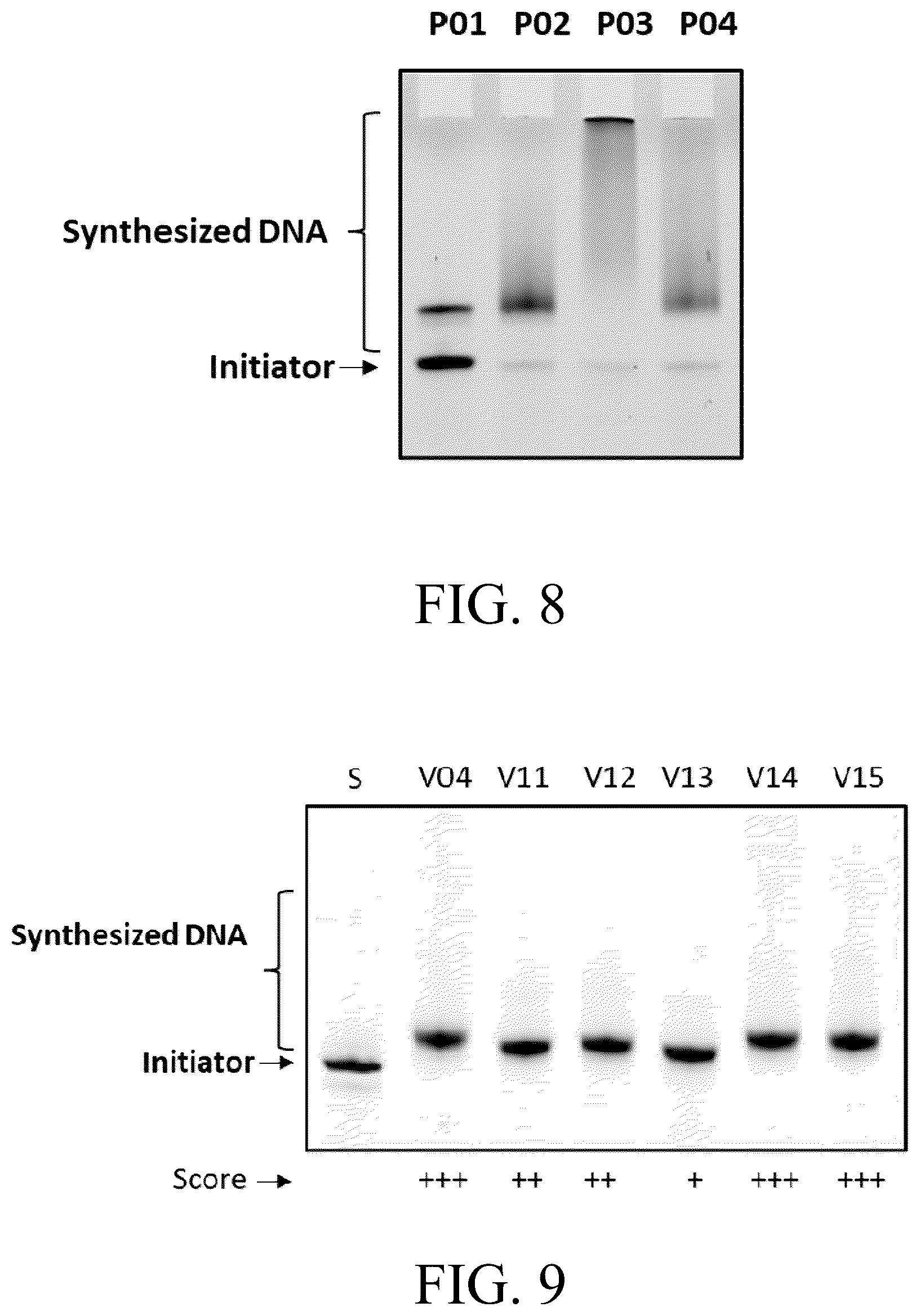Patent US12098396 Figure 16 – Polymerase variants for template-independent enzymatic nucleic acids synthesis and kit comprising the same
