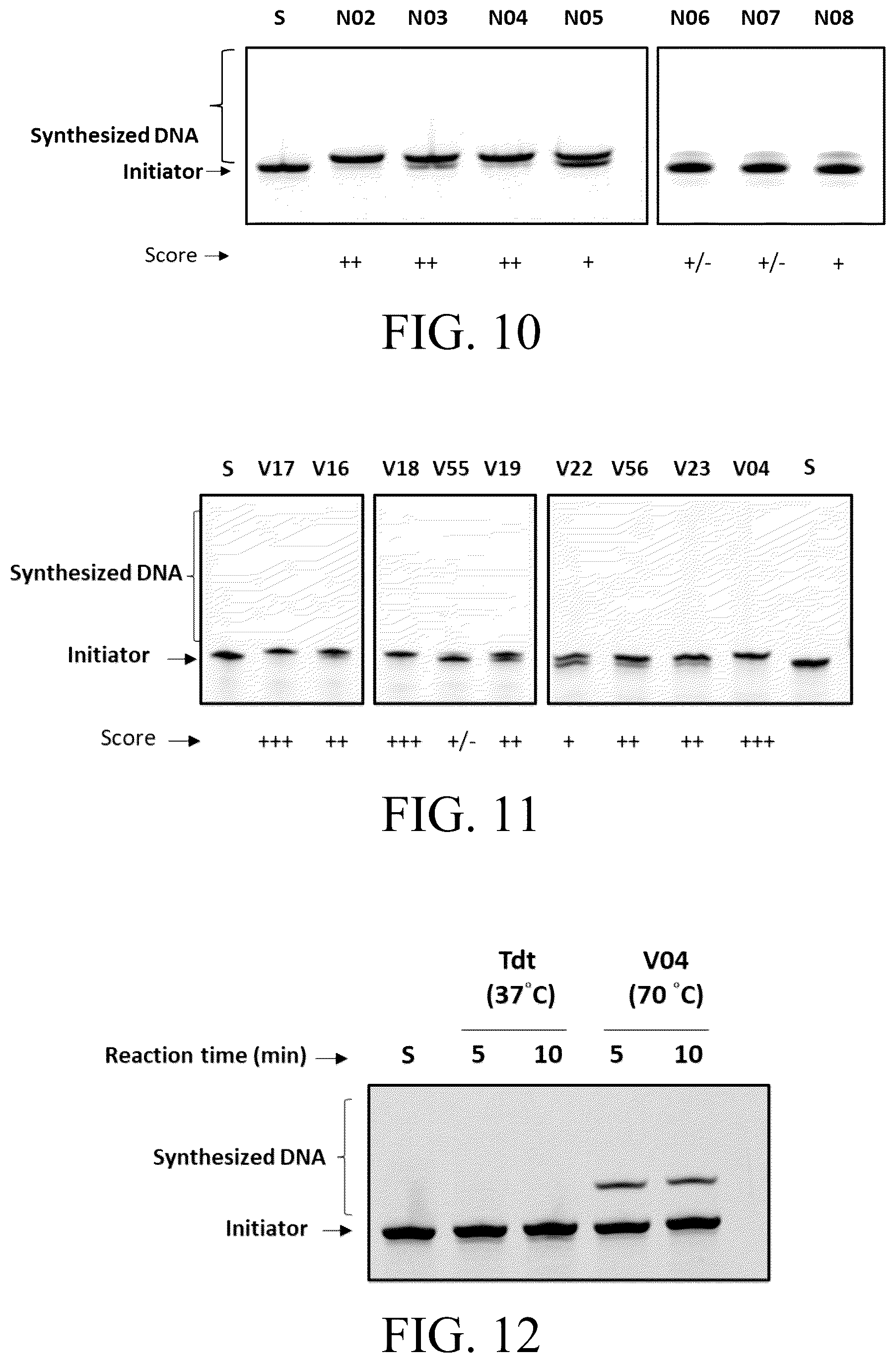 Patent US12098396 Figure 17 – Polymerase variants for template-independent enzymatic nucleic acids synthesis and kit comprising the same