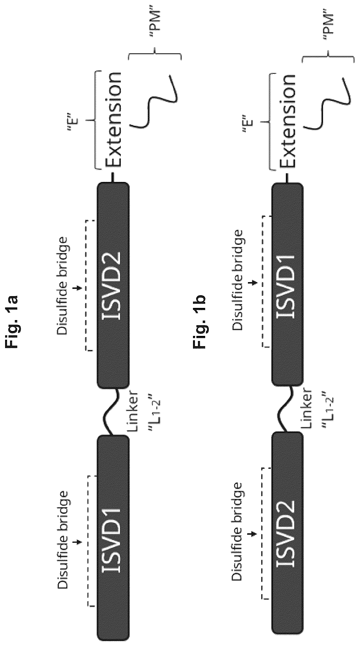 Patent US12098400 Figure 1 – Highly potent ISVD compounds capable of substituting for FVIII(A)