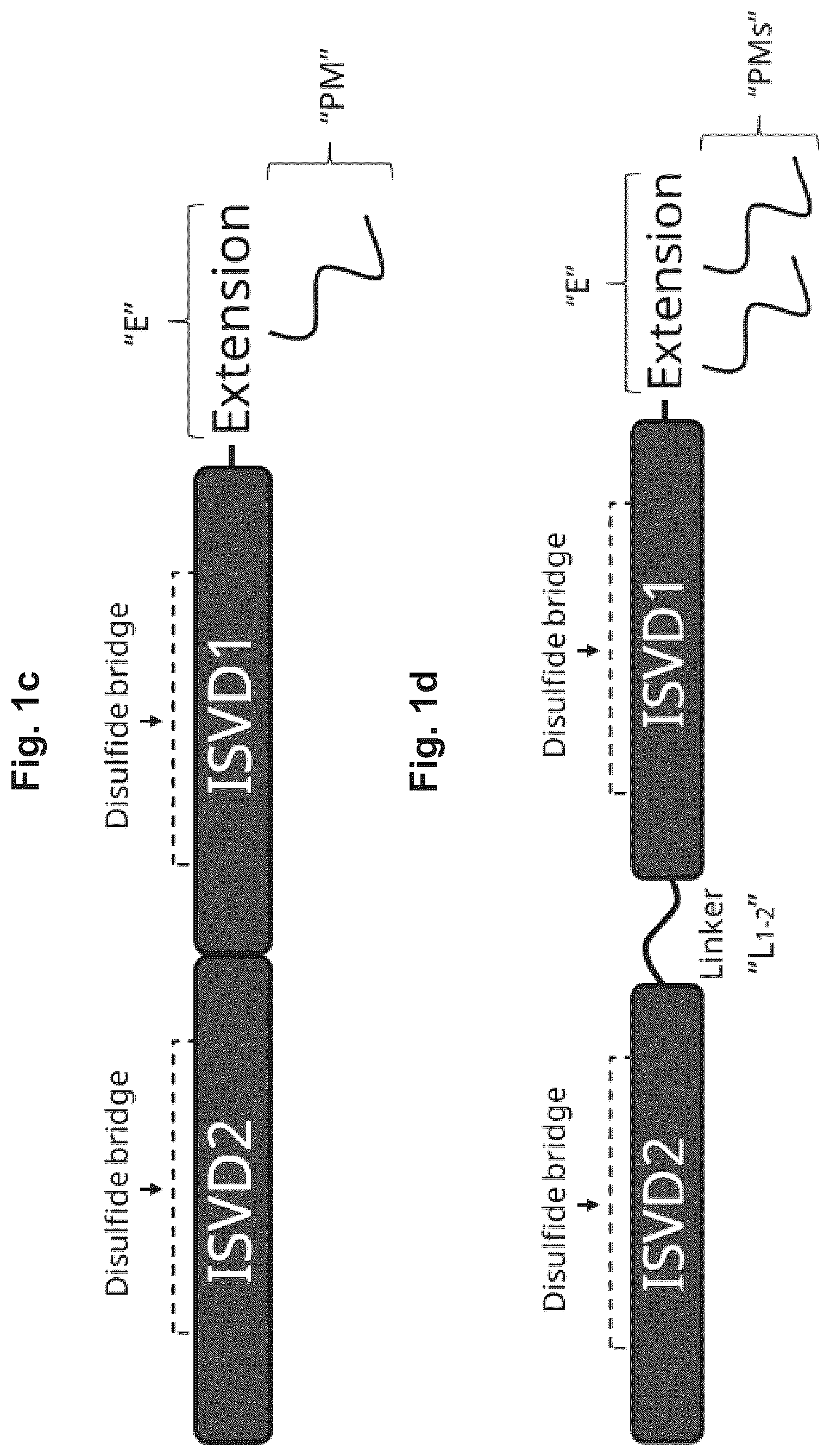 Patent US12098400 Figure 2 – Highly potent ISVD compounds capable of substituting for FVIII(A)