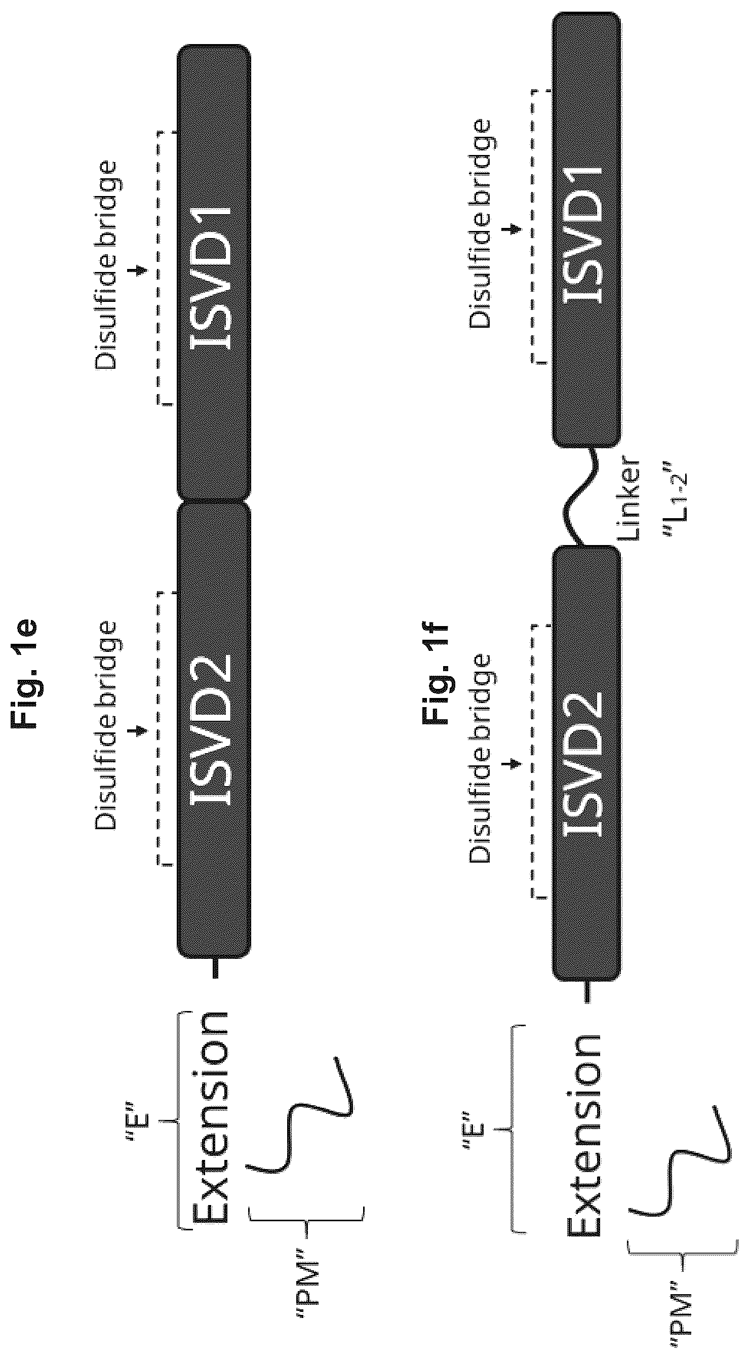 Patent US12098400 Figure 3 – Highly potent ISVD compounds capable of substituting for FVIII(A)