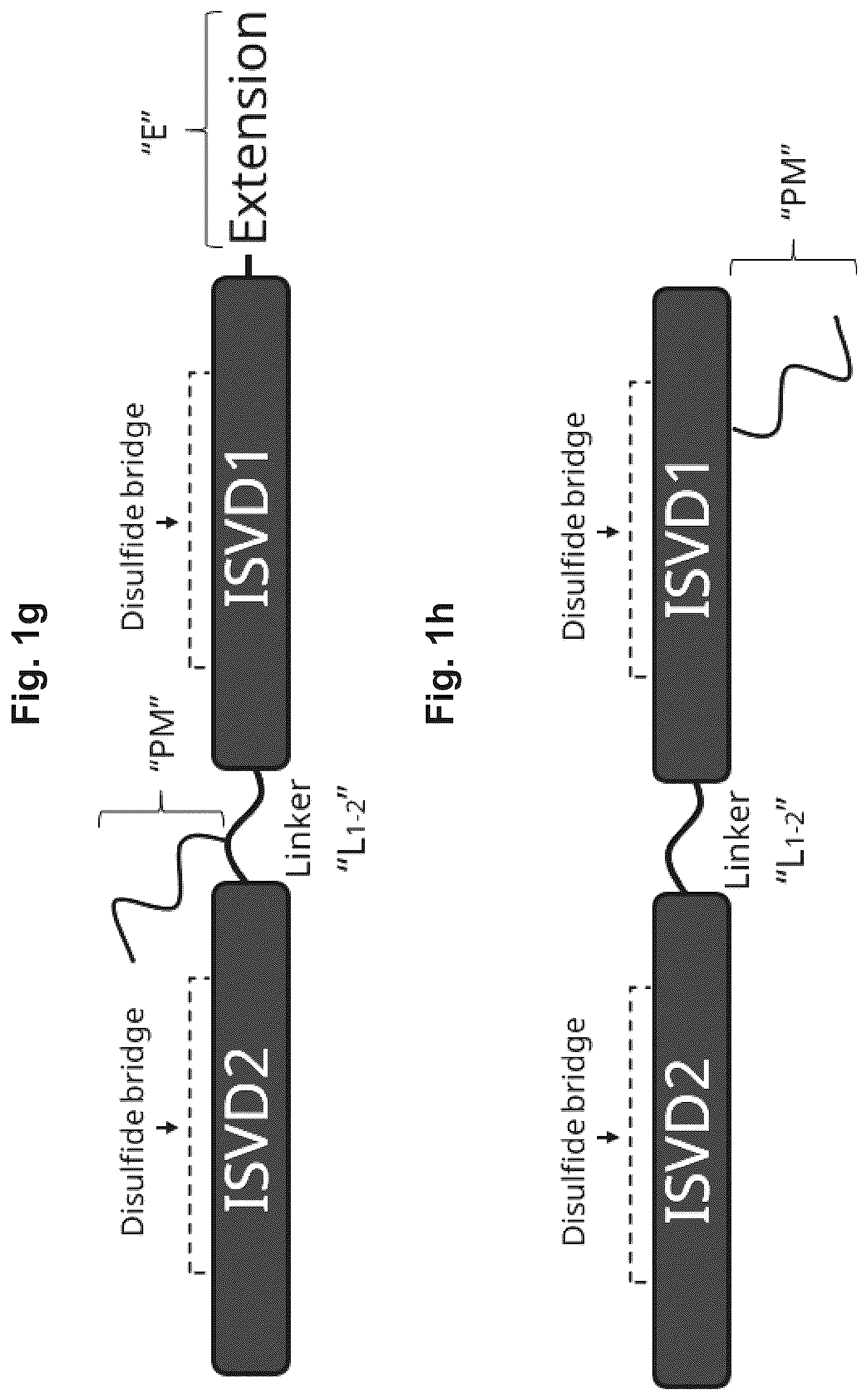 Patent US12098400 Figure 4 – Highly potent ISVD compounds capable of substituting for FVIII(A)