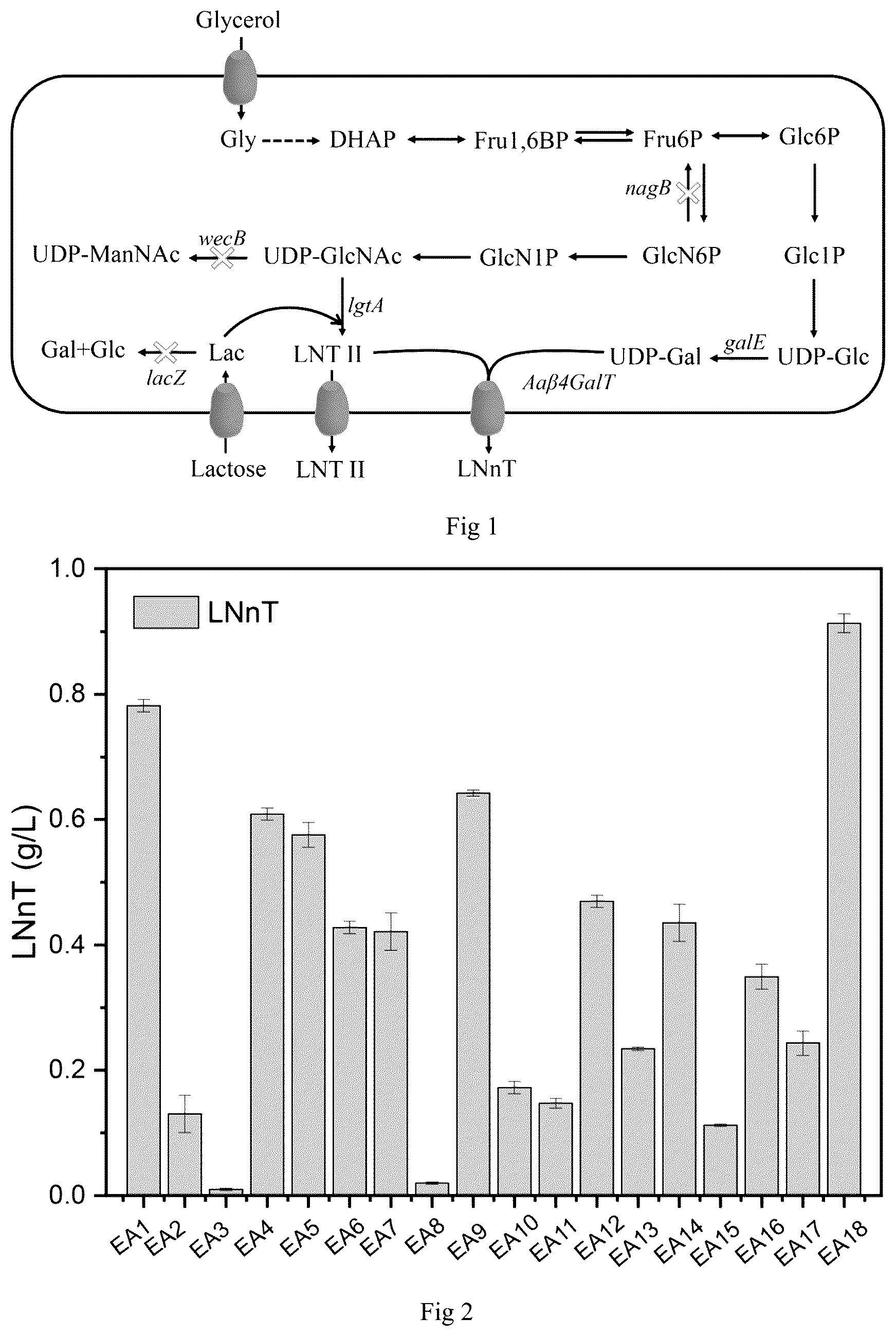 Patent US12098402 Figure 1 – Construction method and application of microorganism capable of realizing high production of lacto-N-neotetraose