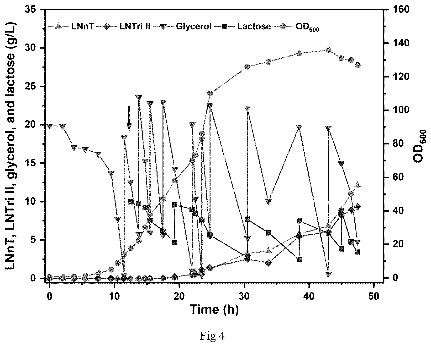 Patent US12098402 Figure 3 – Construction method and application of microorganism capable of realizing high production of lacto-N-neotetraose
