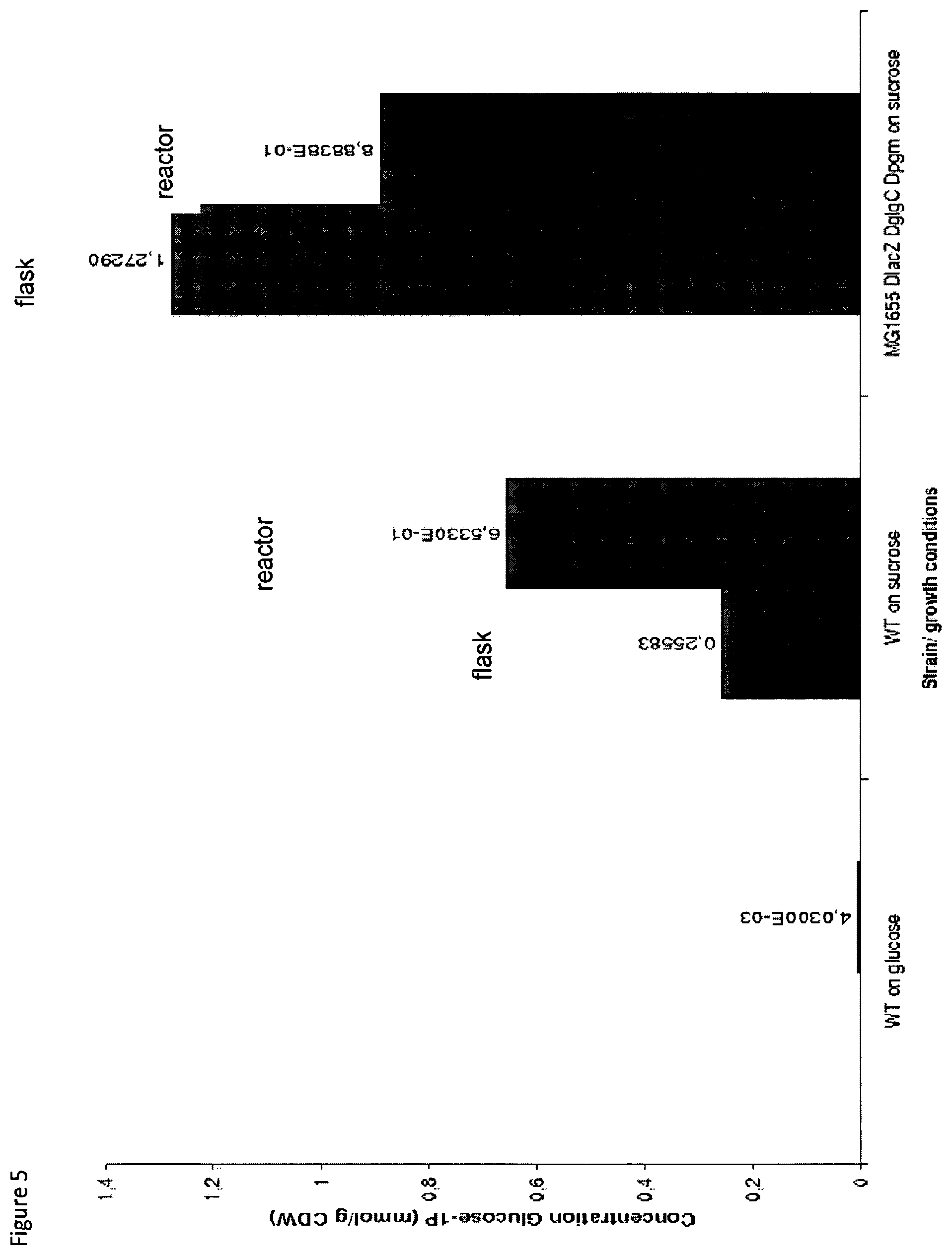 Patent US12098403 Figure 5 – Metabolically engineered organisms for the production of added value bio-products