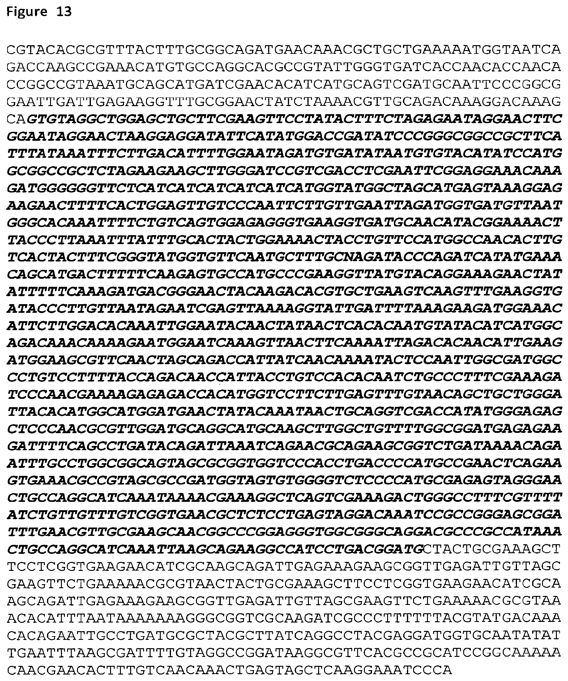 Patent US12098403 Figure 13 – Metabolically engineered organisms for the production of added value bio-products