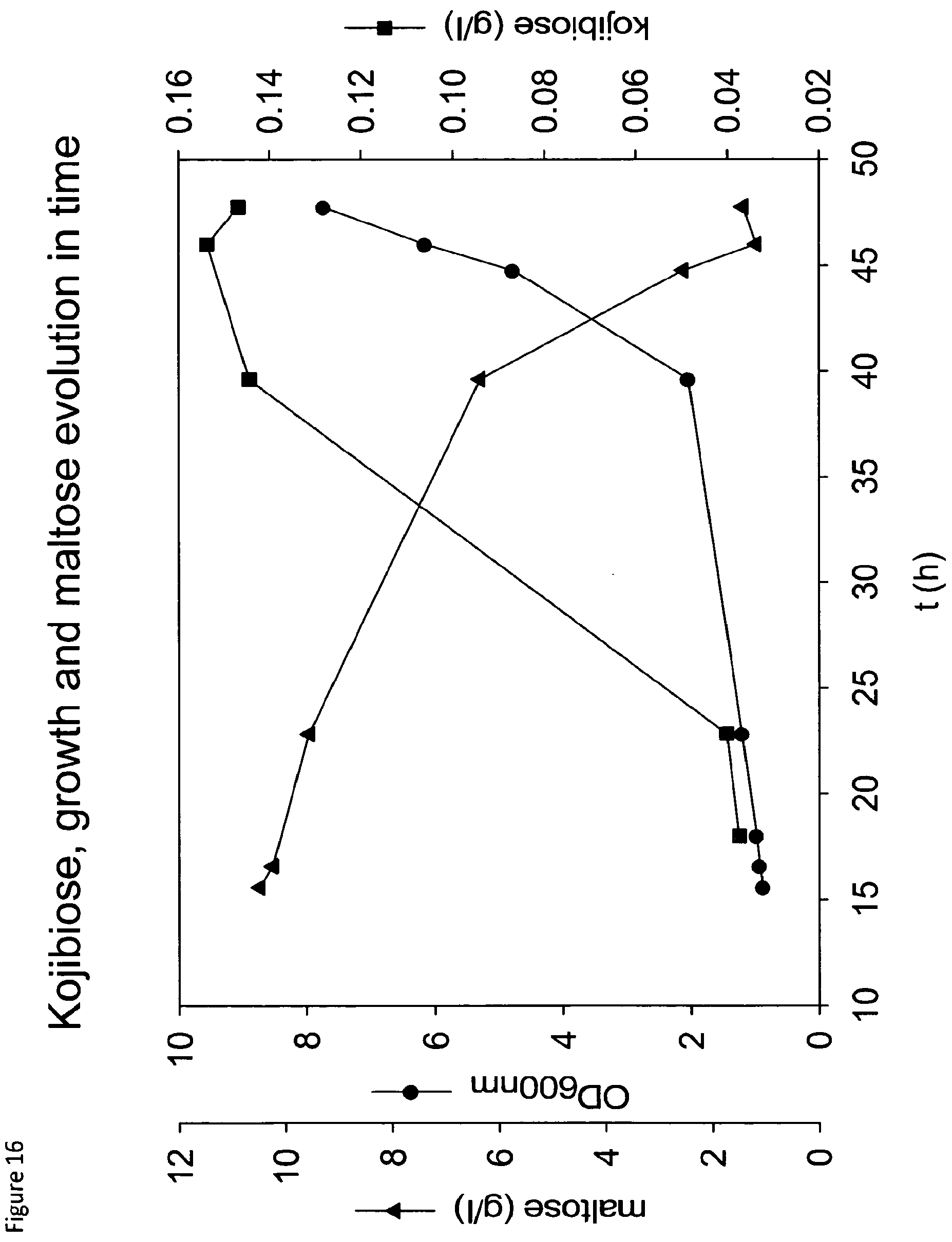 Patent US12098403 Figure 16 – Metabolically engineered organisms for the production of added value bio-products