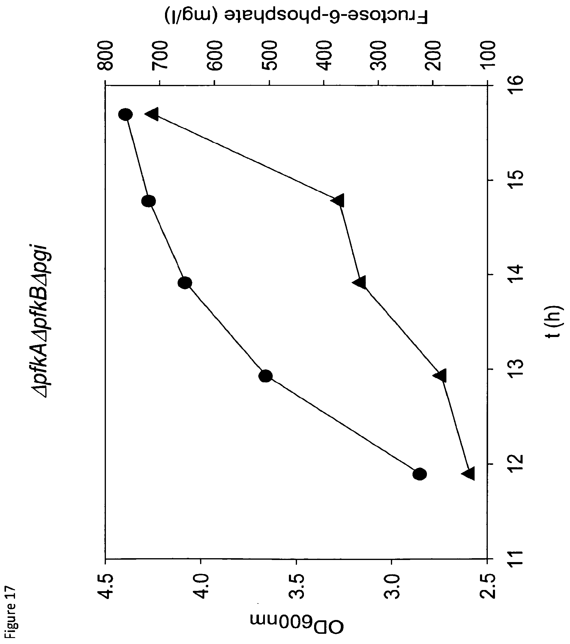 Patent US12098403 Figure 17 – Metabolically engineered organisms for the production of added value bio-products