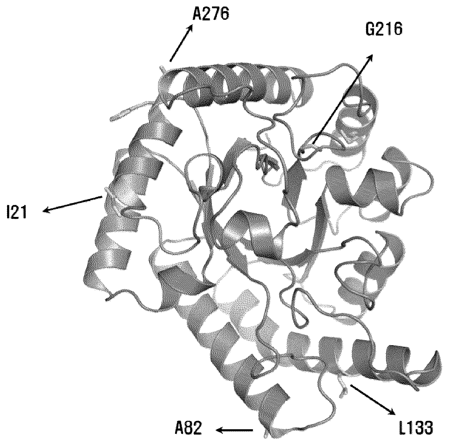 Patent US12098404 Figure 1 – Allulose epimerase variant, method of producing the same, and method of producing allulose using the same