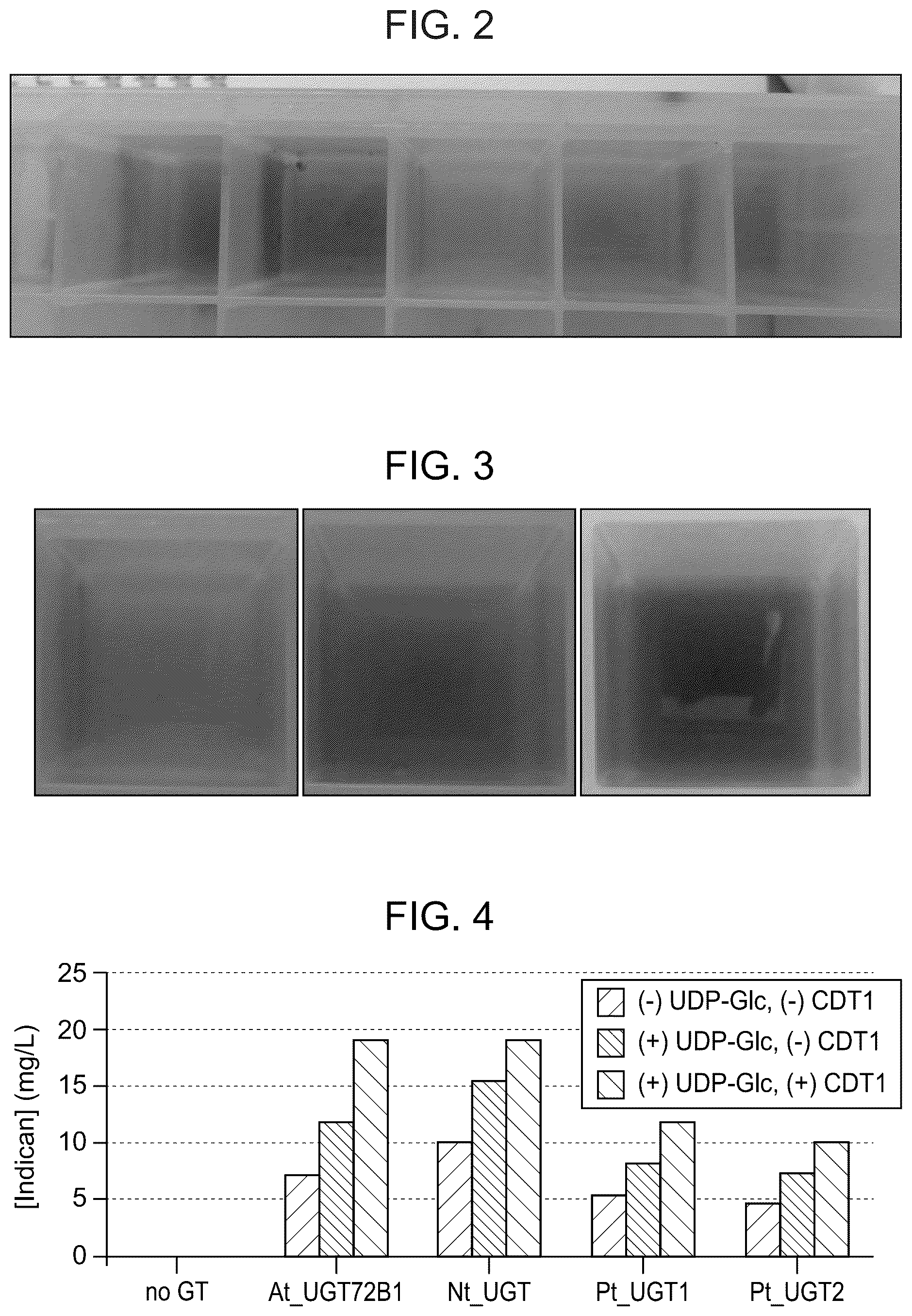 Patent US12098405 Figure 2 – Protecting group chemistry for clean, reductant-free dyeing