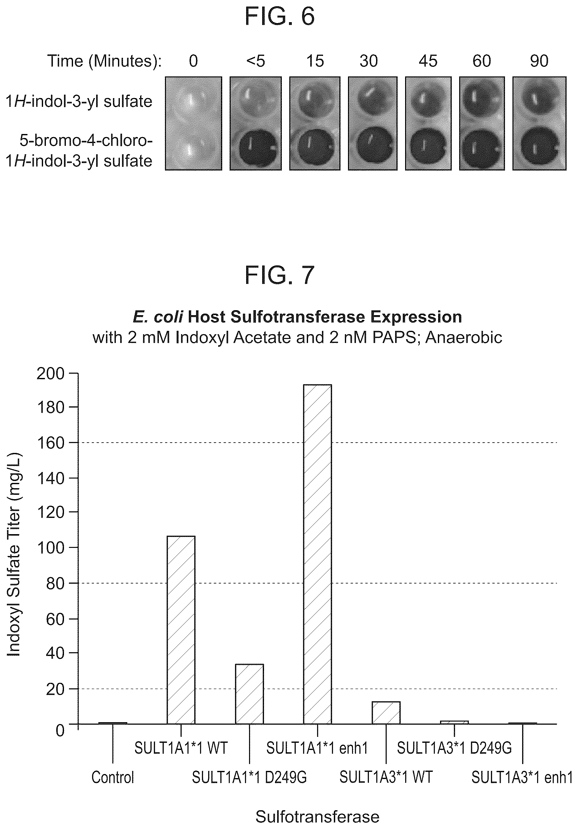 Patent US12098405 Figure 4 – Protecting group chemistry for clean, reductant-free dyeing