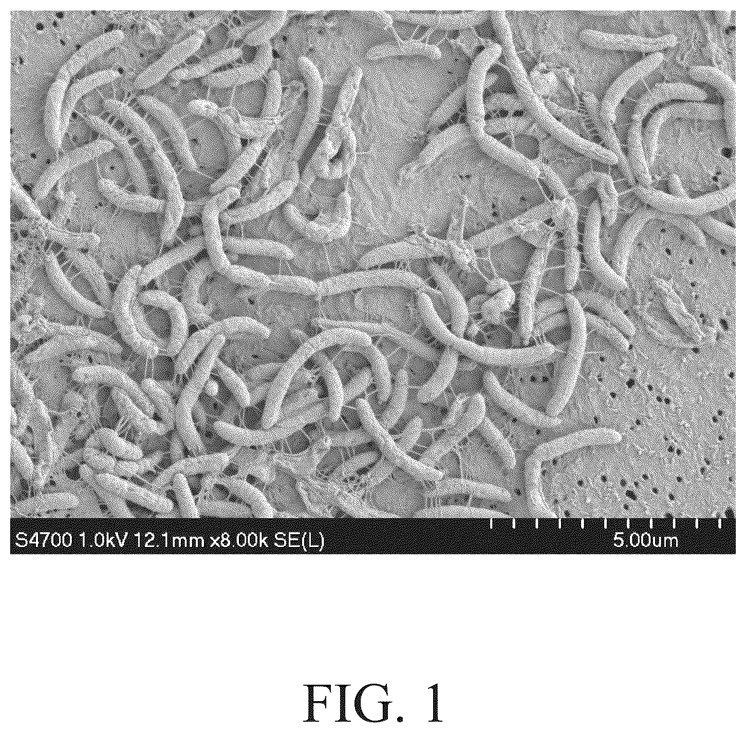 Patent US12098412 — Roseburia hominis HGM001 isolate and use thereof — Figure 1