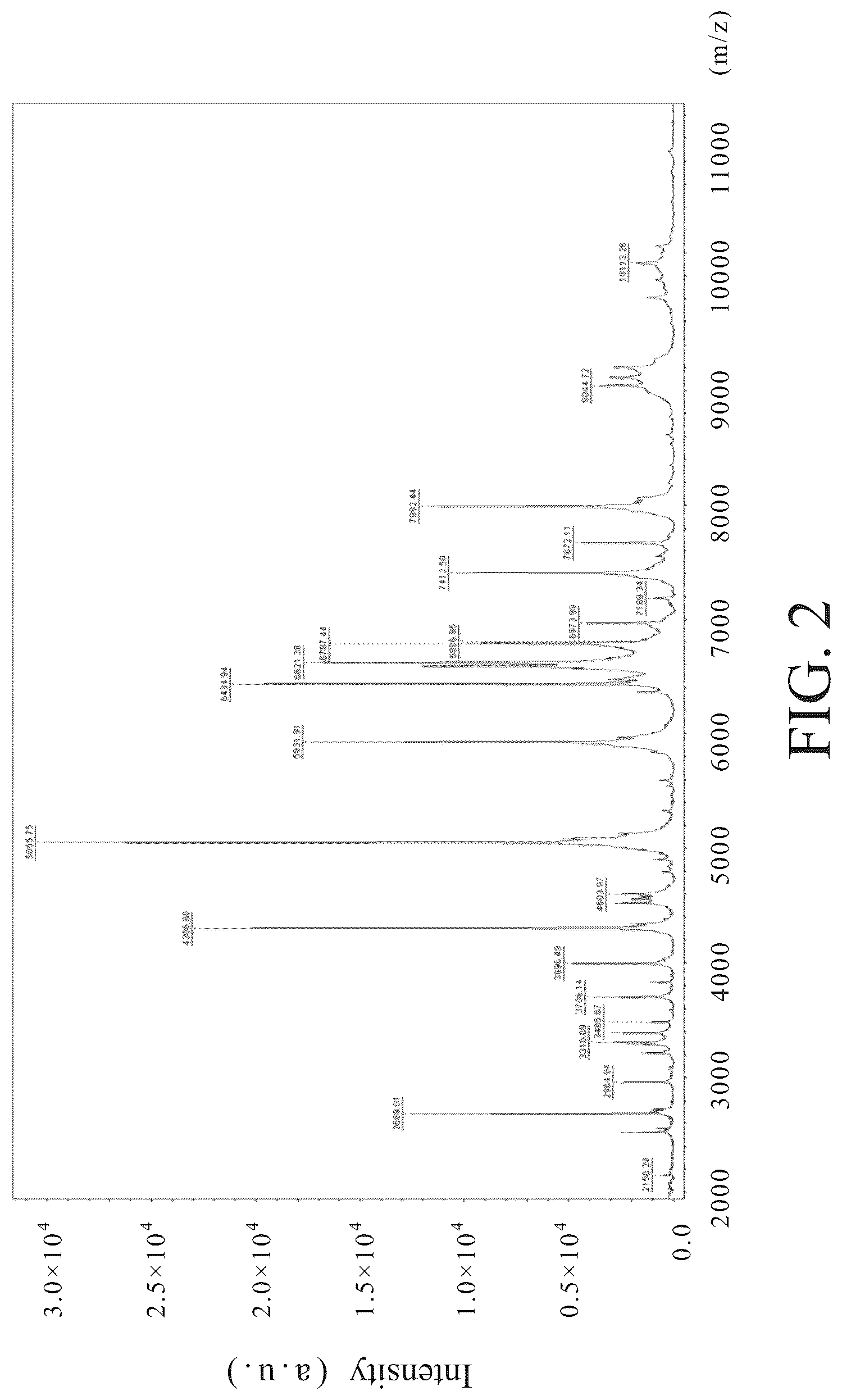 Patent US12098412 Figure 2 – Roseburia hominis HGM001 isolate and use thereof