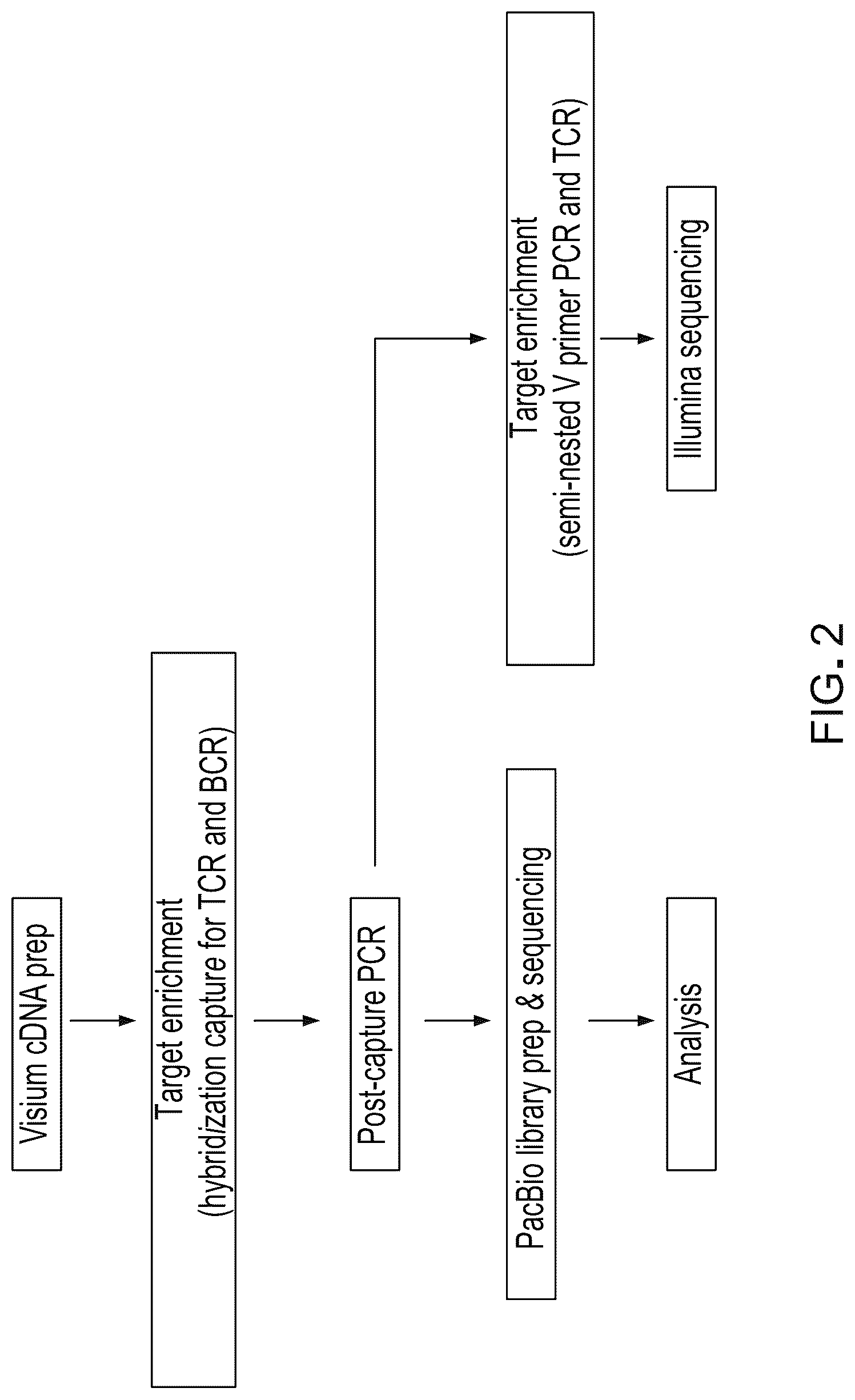 Patent US12098417 Figure 2 – Spatial transcriptomics for antigen-receptors
