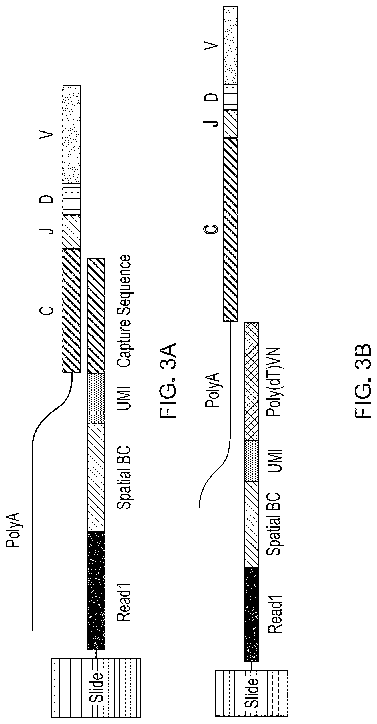 Patent US12098417 Figure 3 – Spatial transcriptomics for antigen-receptors