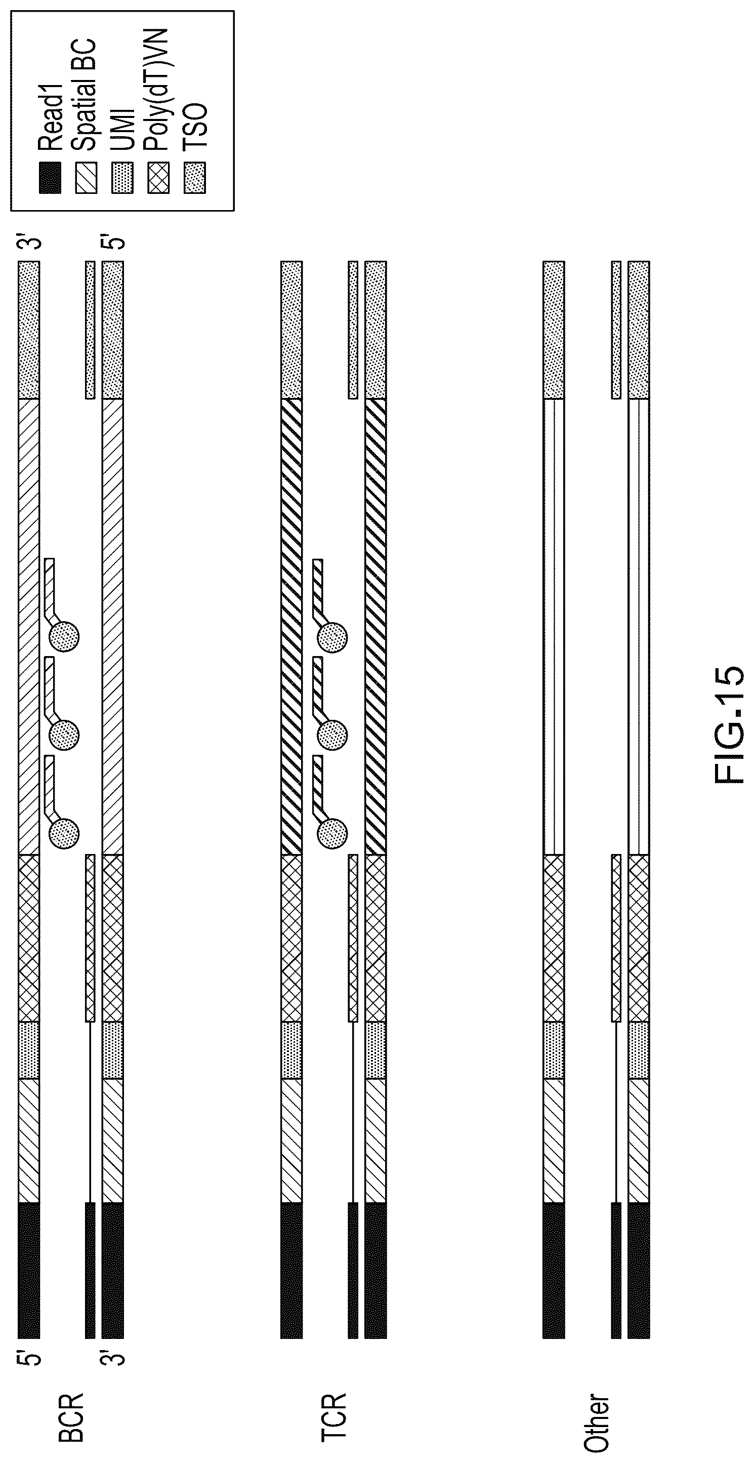 Patent US12098417 Figure 15 – Spatial transcriptomics for antigen-receptors