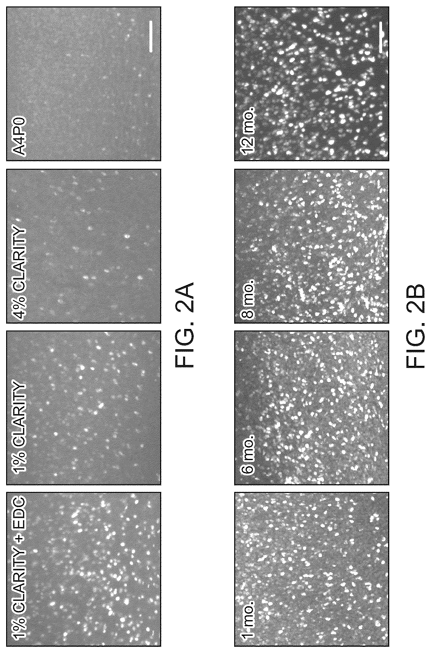 Patent US12098418 Figure 3 – RNA fixation and detection in CLARITY-based hydrogel tissue