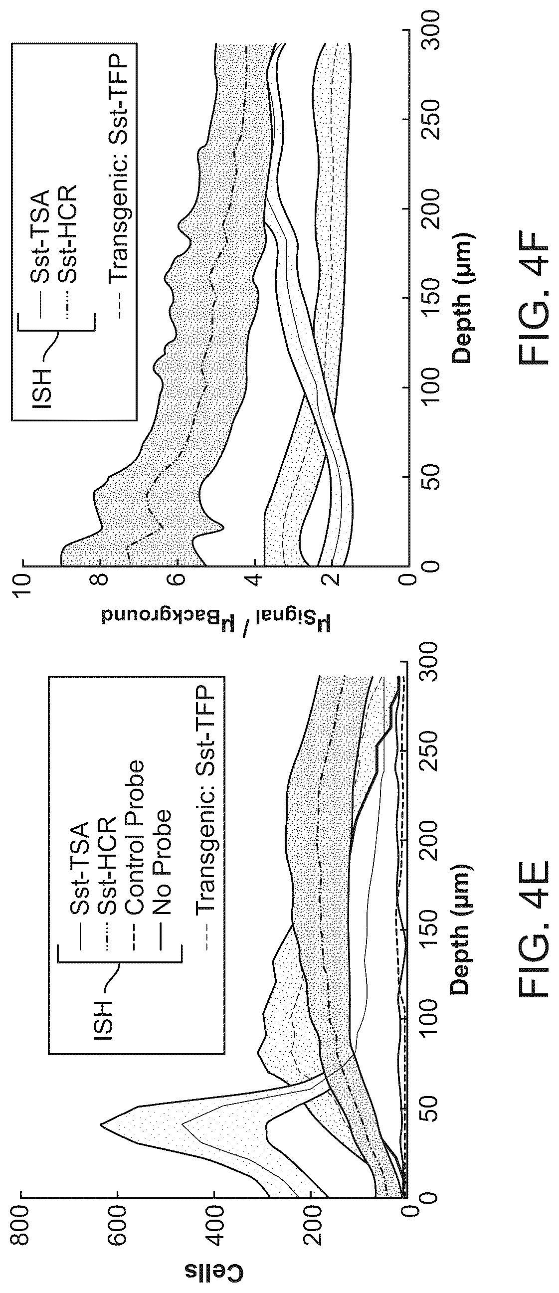 Patent US12098418 Figure 7 – RNA fixation and detection in CLARITY-based hydrogel tissue