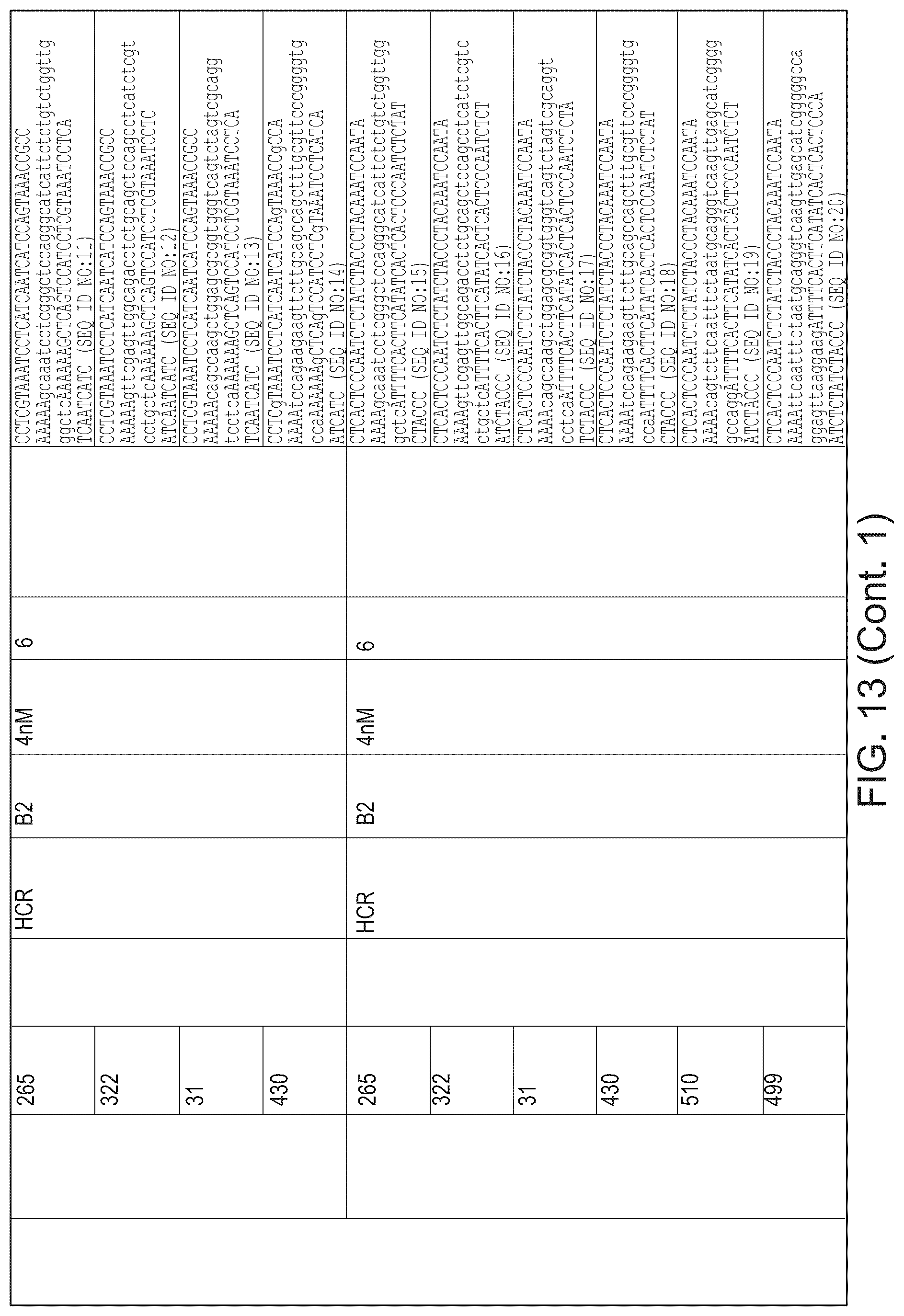 Patent US12098418 Figure 19 – RNA fixation and detection in CLARITY-based hydrogel tissue