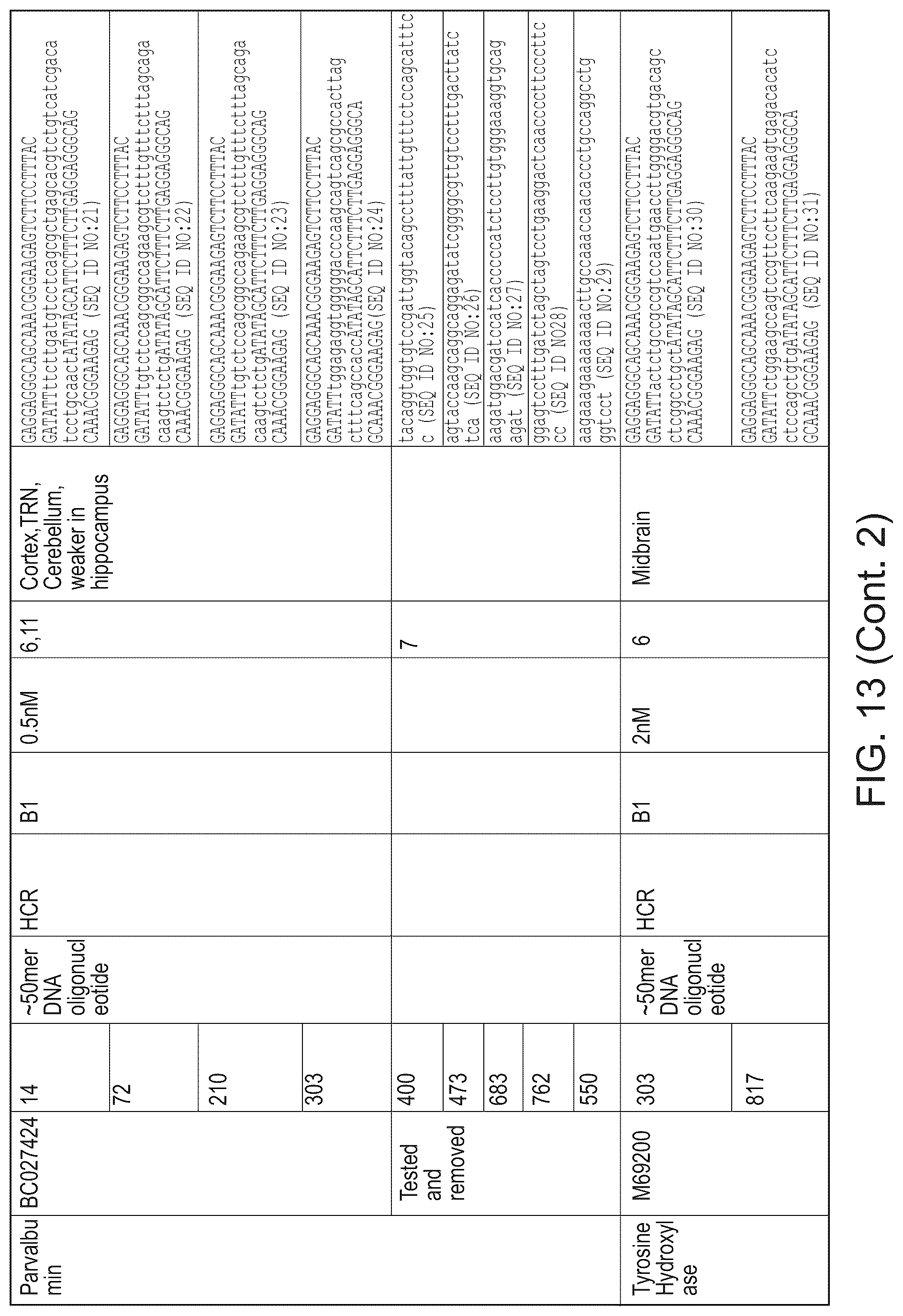 Patent US12098418 Figure 20 – RNA fixation and detection in CLARITY-based hydrogel tissue