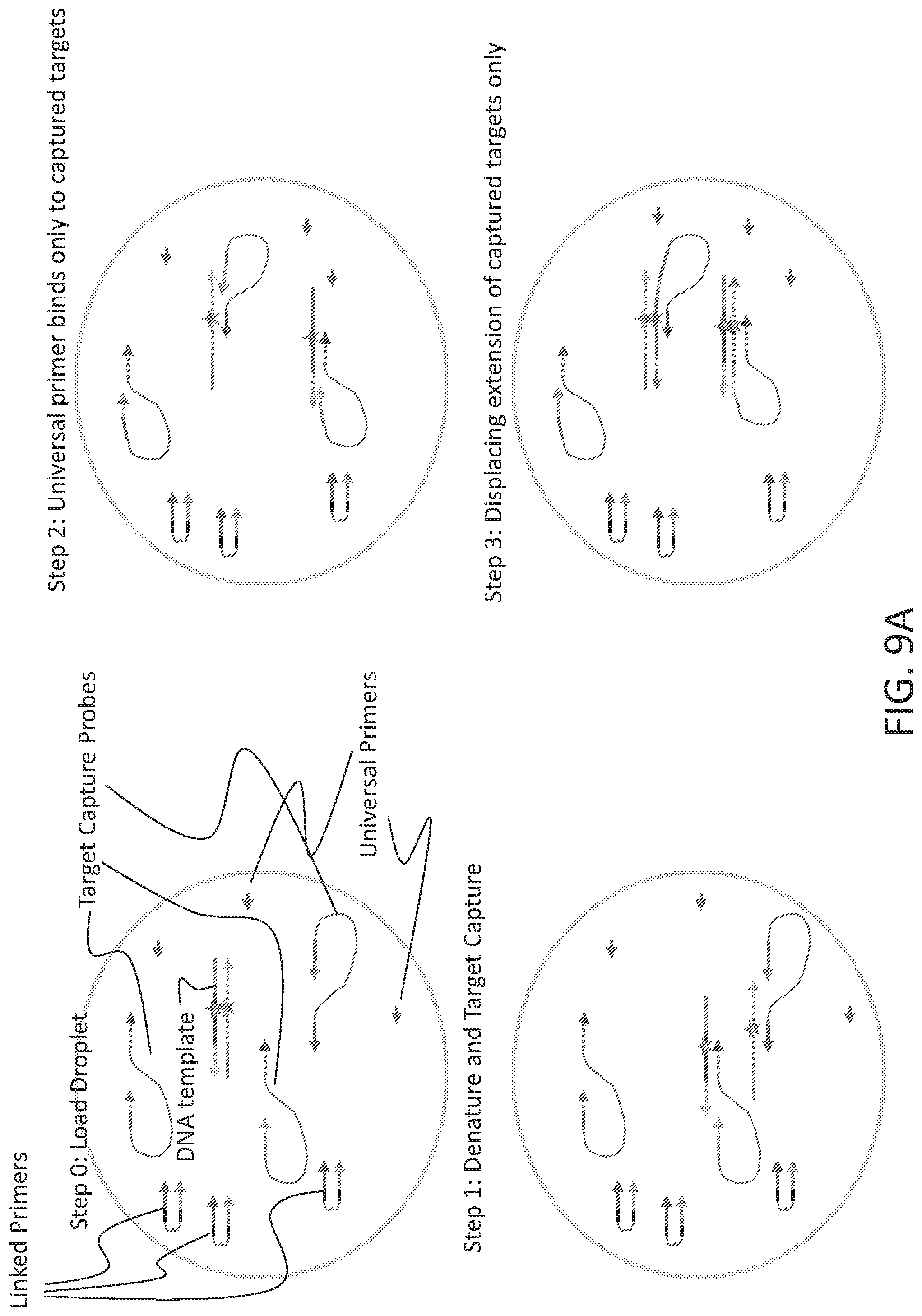 Patent US12098419 Figure 11 – Linked target capture and ligation