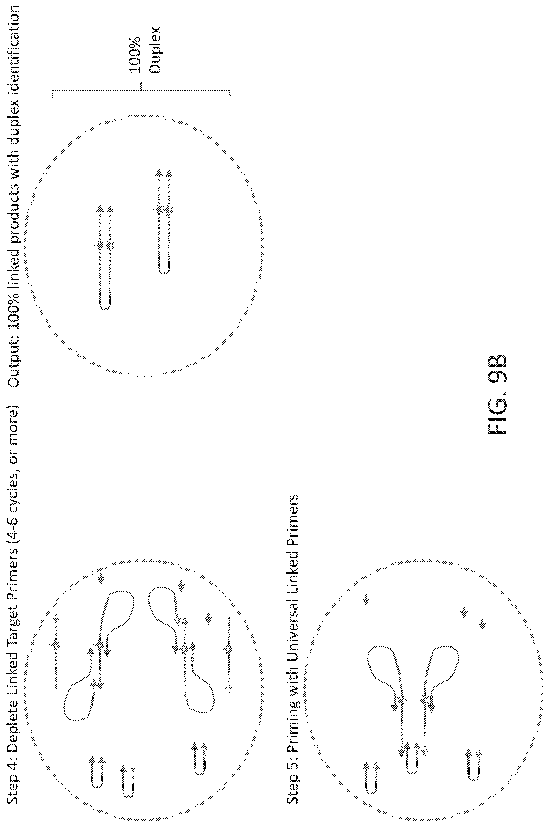 Patent US12098419 Figure 12 – Linked target capture and ligation