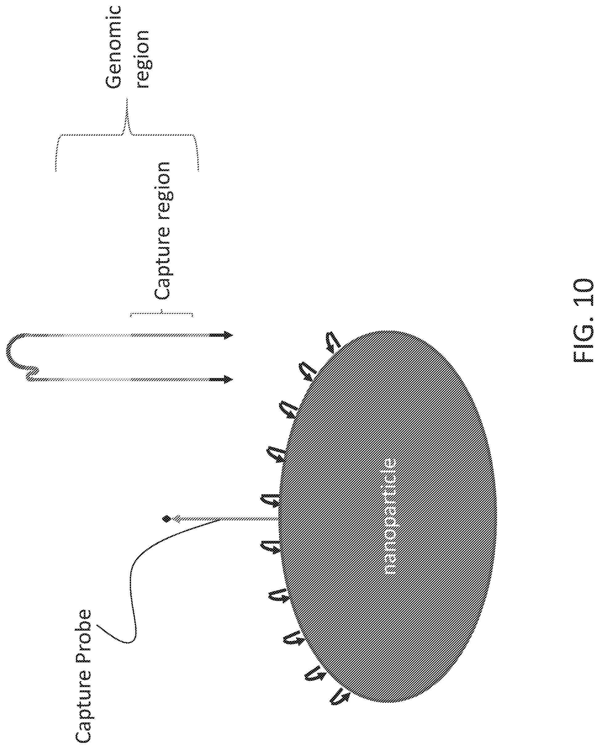 Patent US12098419 Figure 13 – Linked target capture and ligation