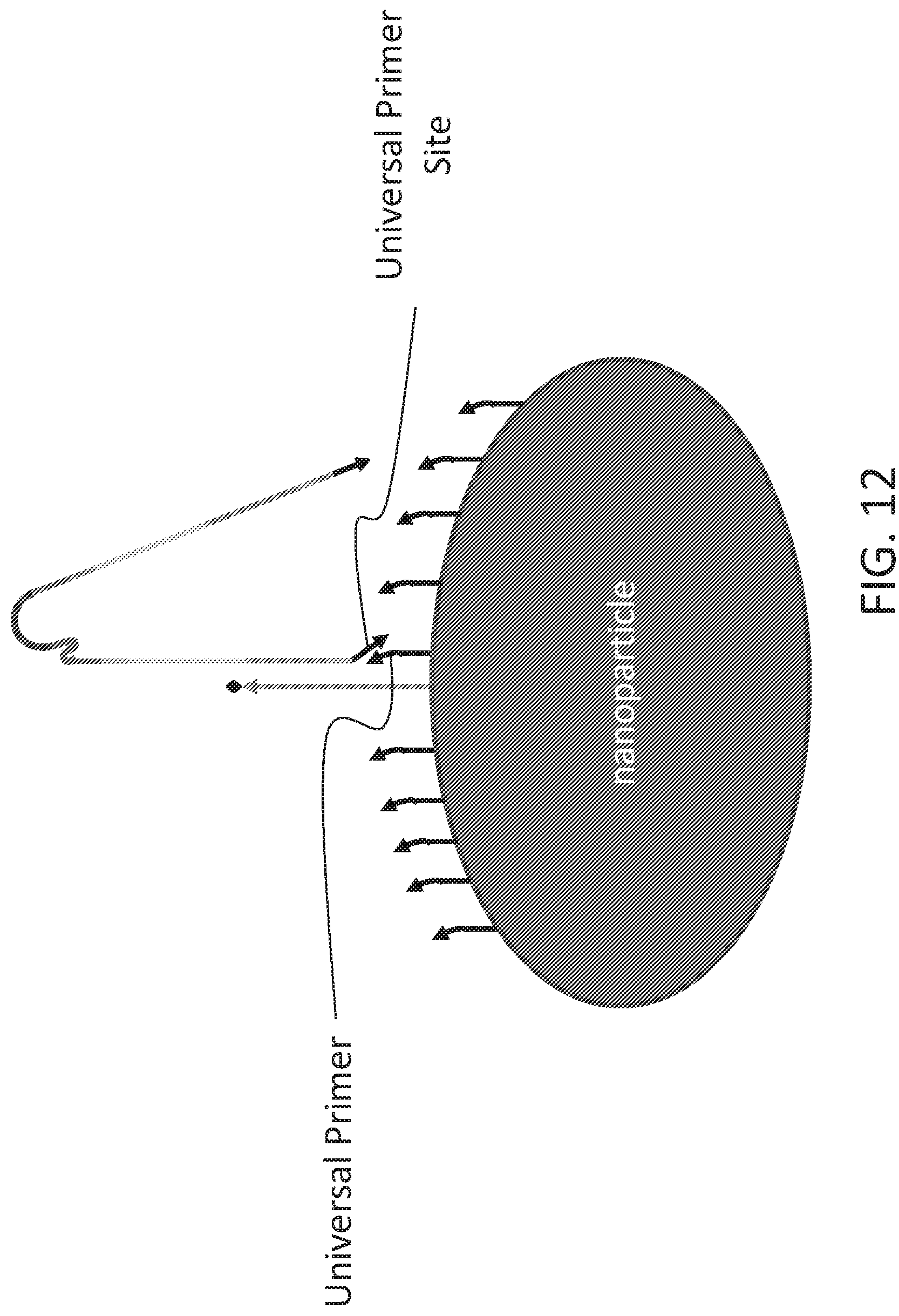 Patent US12098419 Figure 15 – Linked target capture and ligation