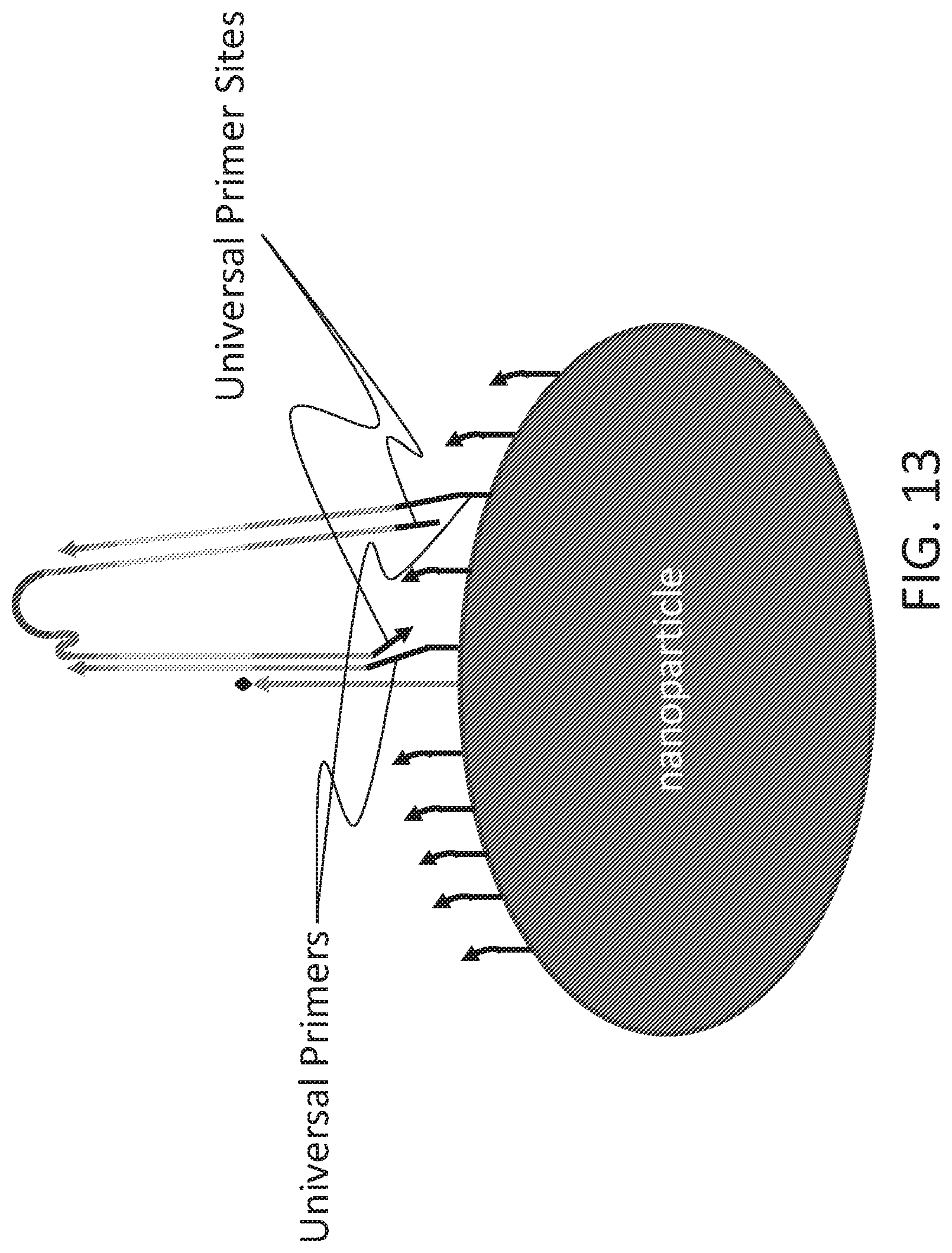 Patent US12098419 Figure 16 – Linked target capture and ligation