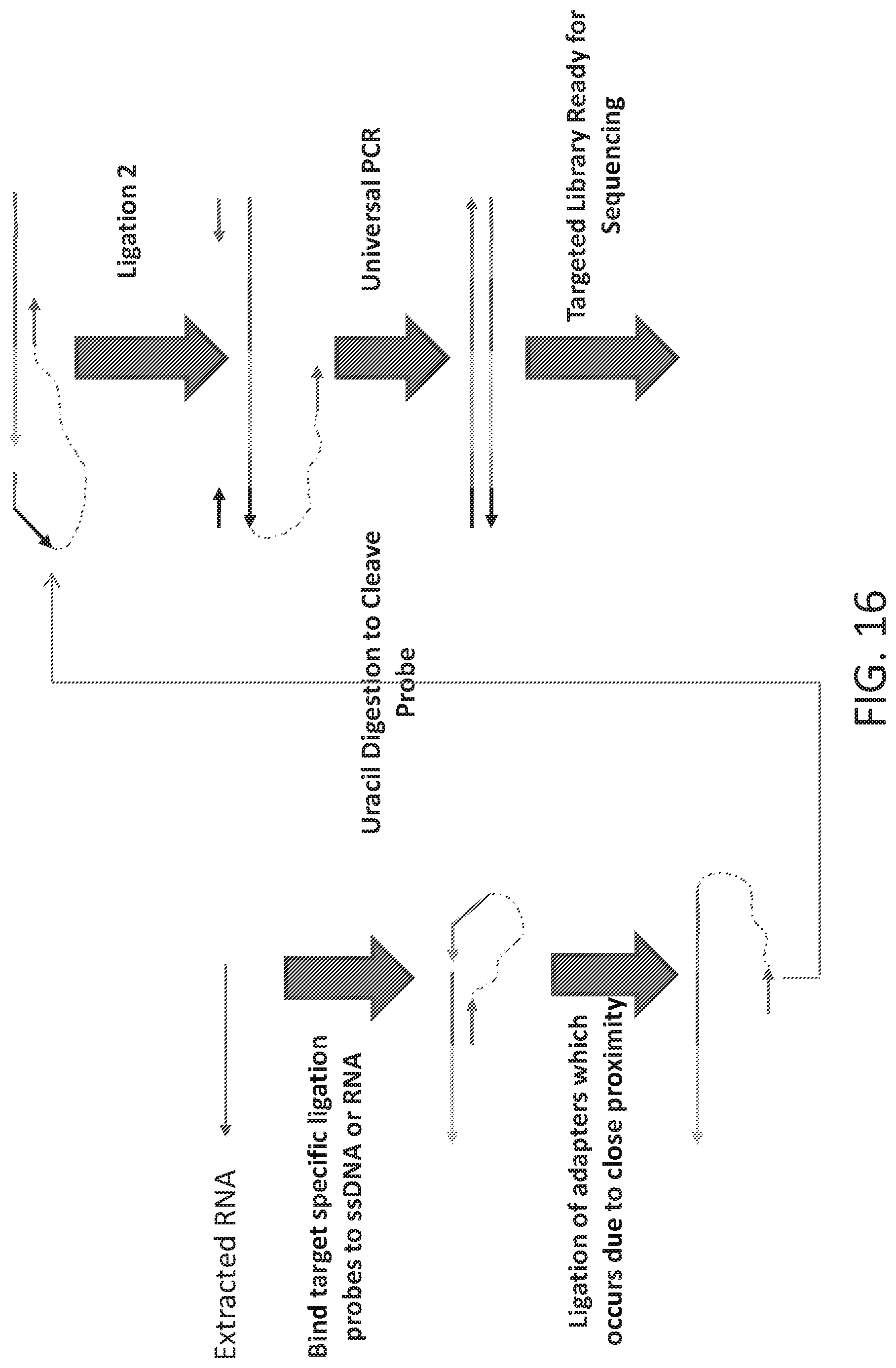 Patent US12098419 Figure 19 – Linked target capture and ligation