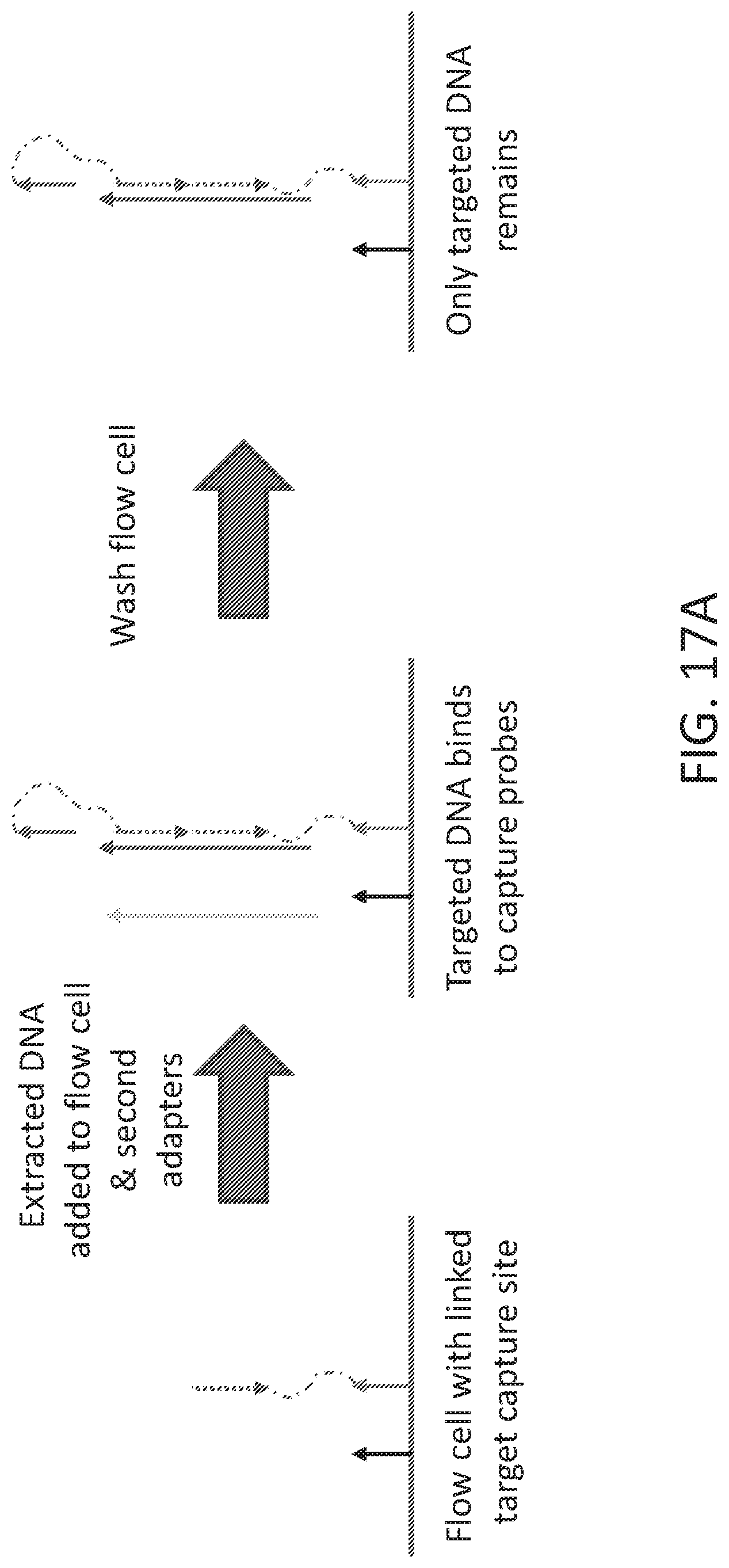 Patent US12098419 Figure 20 – Linked target capture and ligation