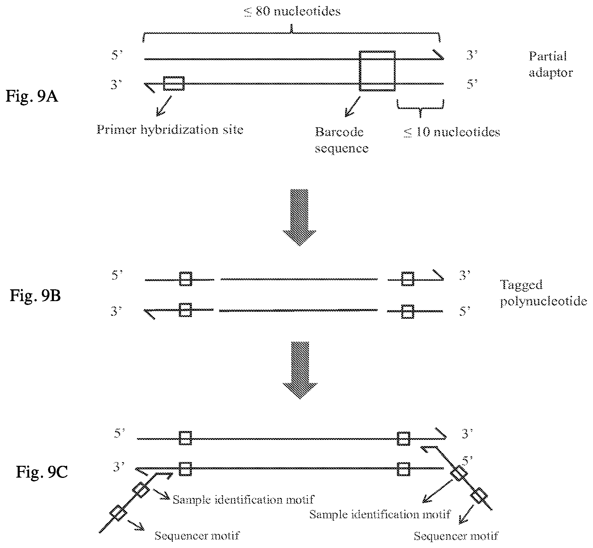 Patent US12098421 Figure 11 – Methods and systems for detecting genetic variants