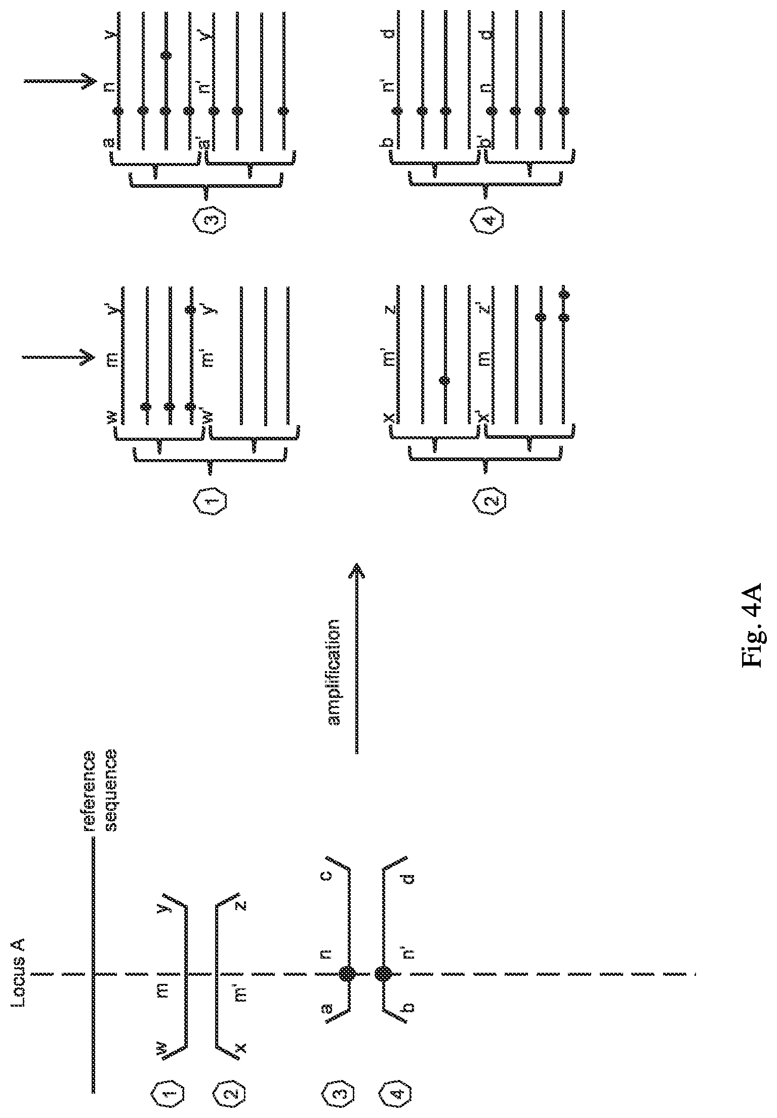 Patent US12098422 Figure 4 – Methods and systems for detecting genetic variants