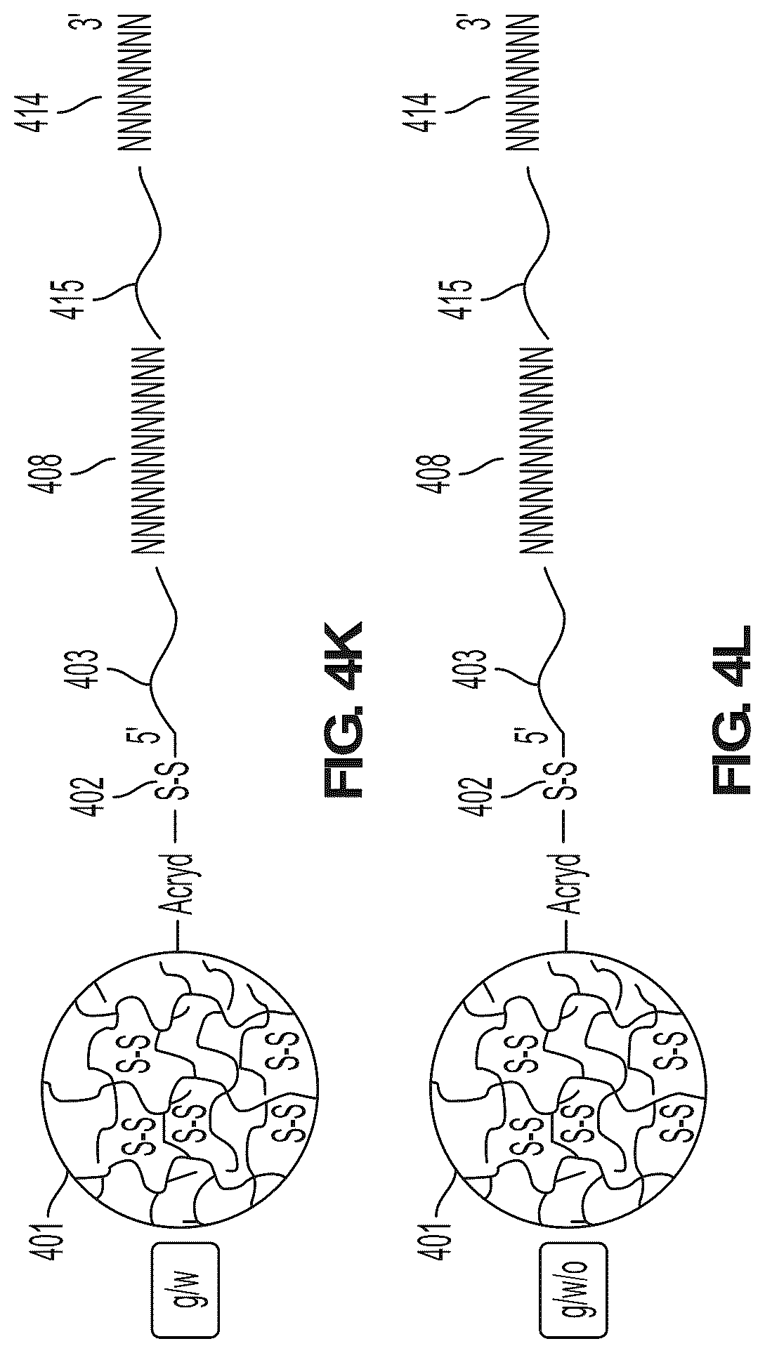 Patent US12098423 Figure 10 – Methods and systems for processing polynucleotides
