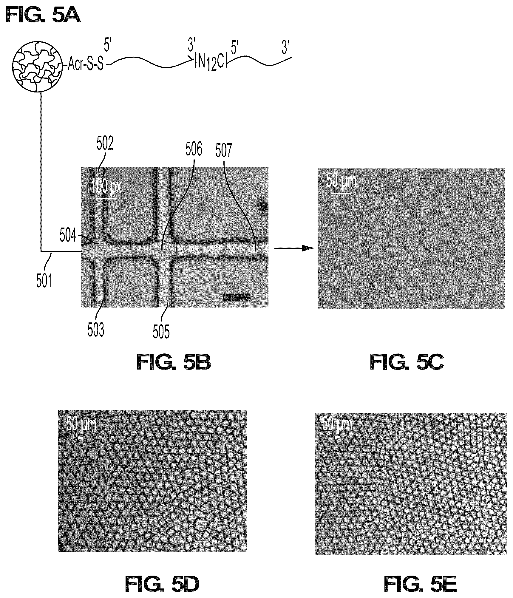 Patent US12098423 Figure 12 – Methods and systems for processing polynucleotides