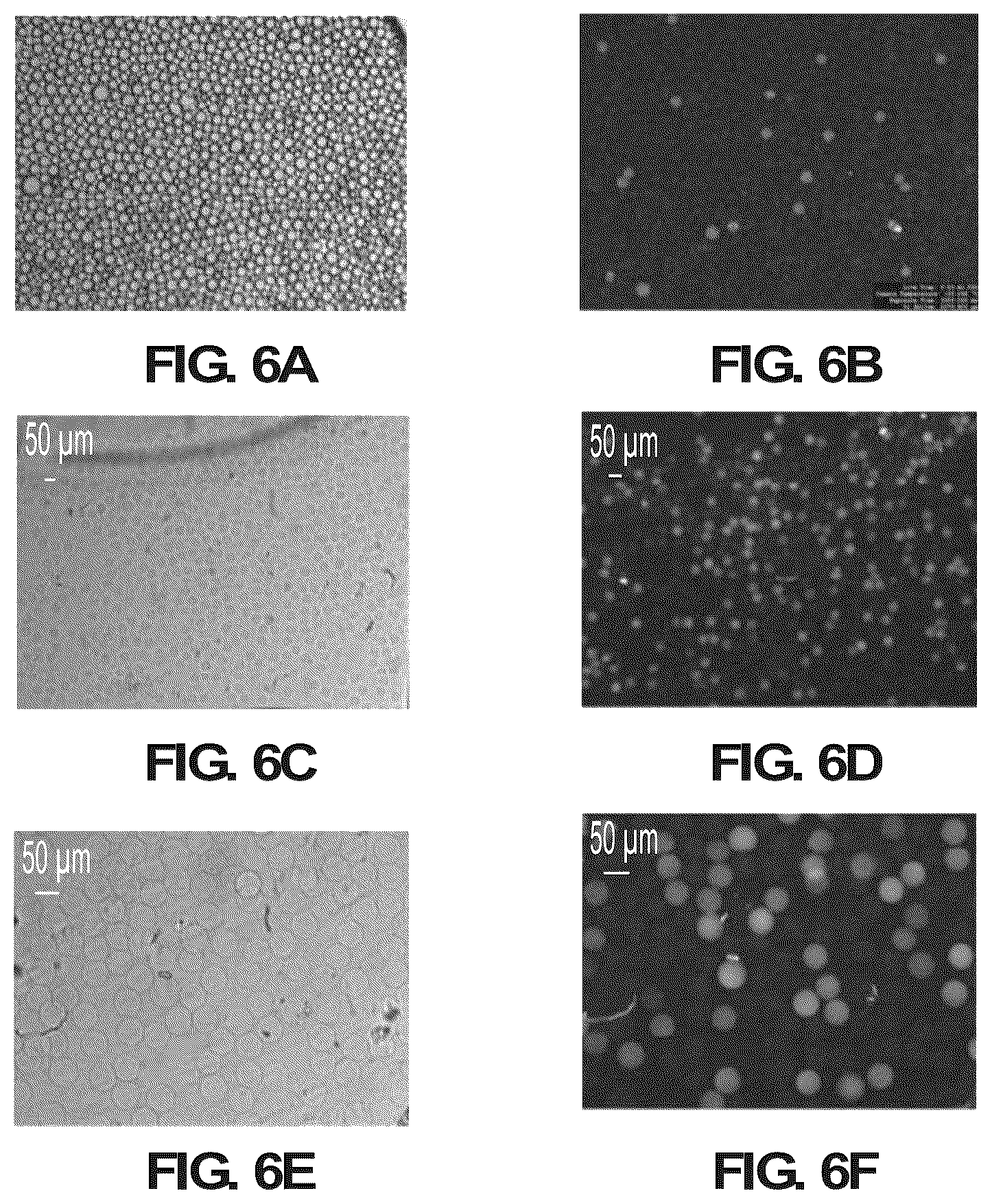Patent US12098423 Figure 13 – Methods and systems for processing polynucleotides