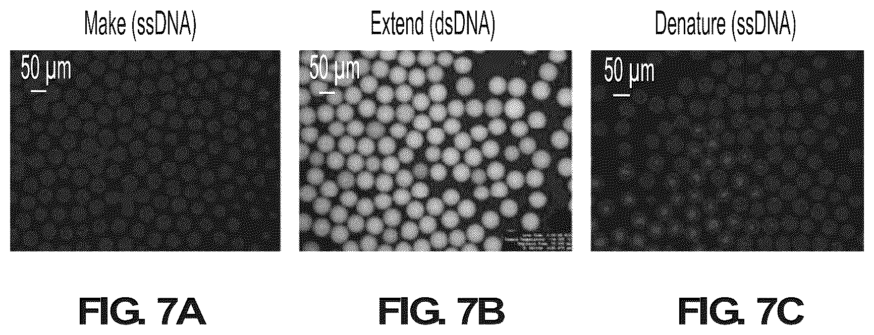 Patent US12098423 Figure 14 – Methods and systems for processing polynucleotides
