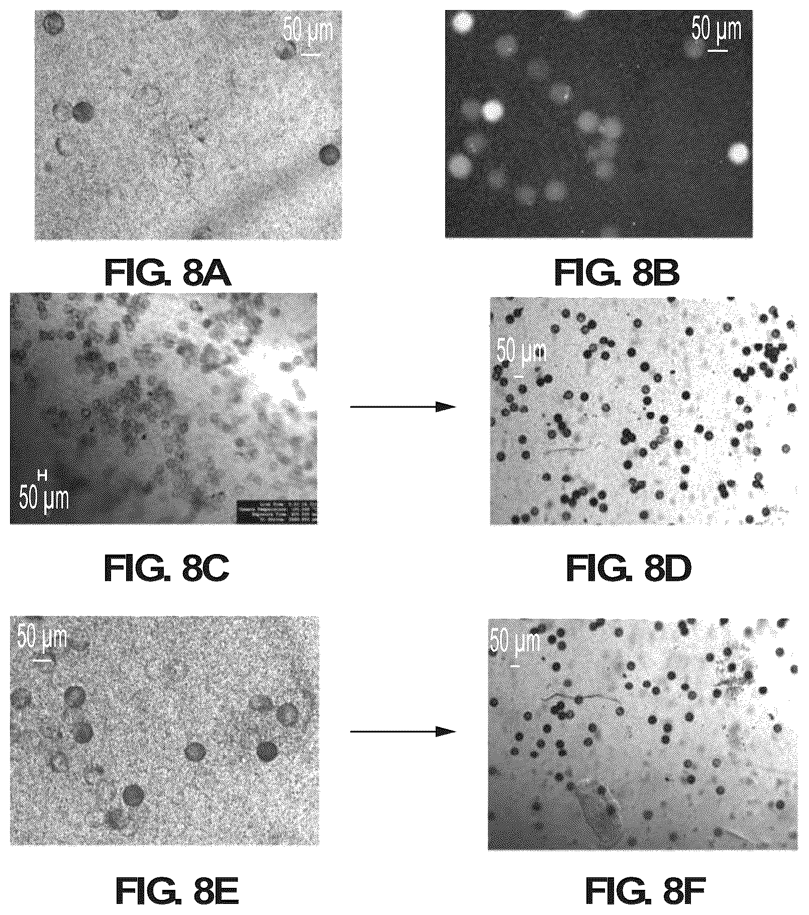 Patent US12098423 Figure 15 – Methods and systems for processing polynucleotides