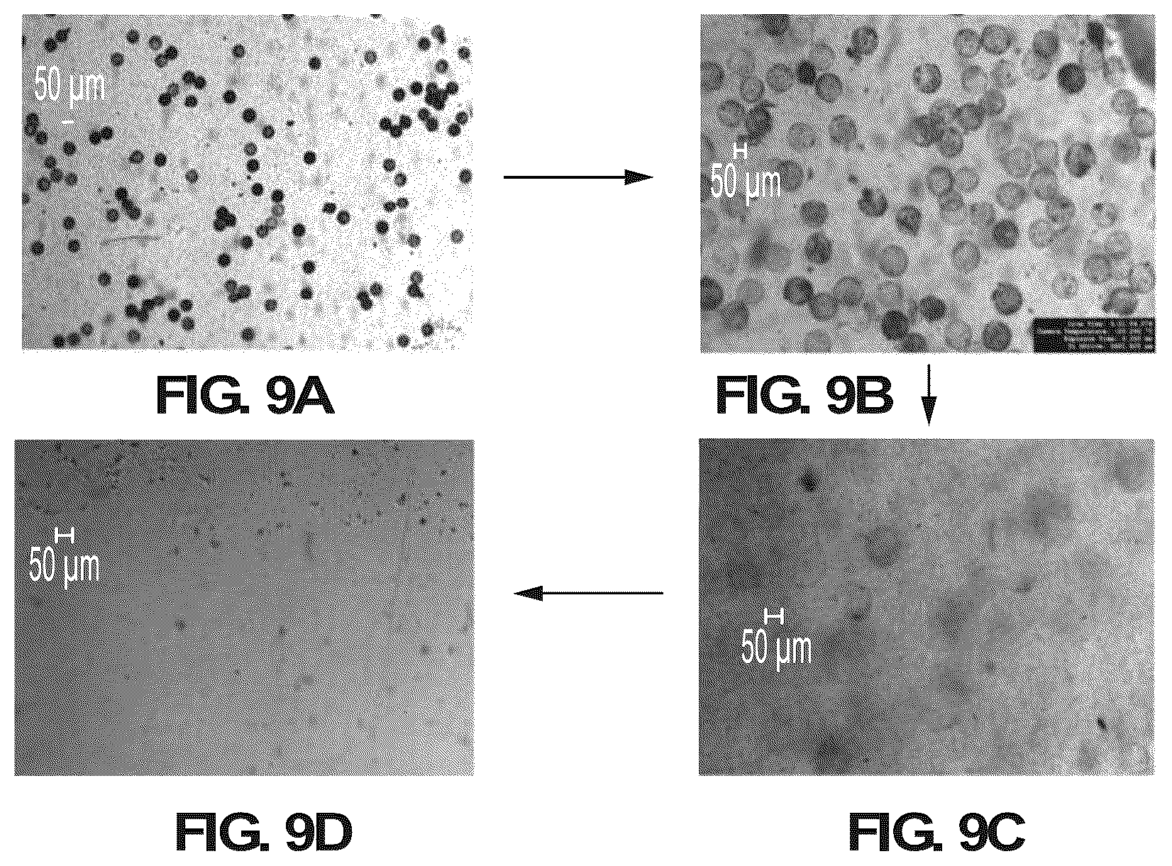 Patent US12098423 Figure 16 – Methods and systems for processing polynucleotides