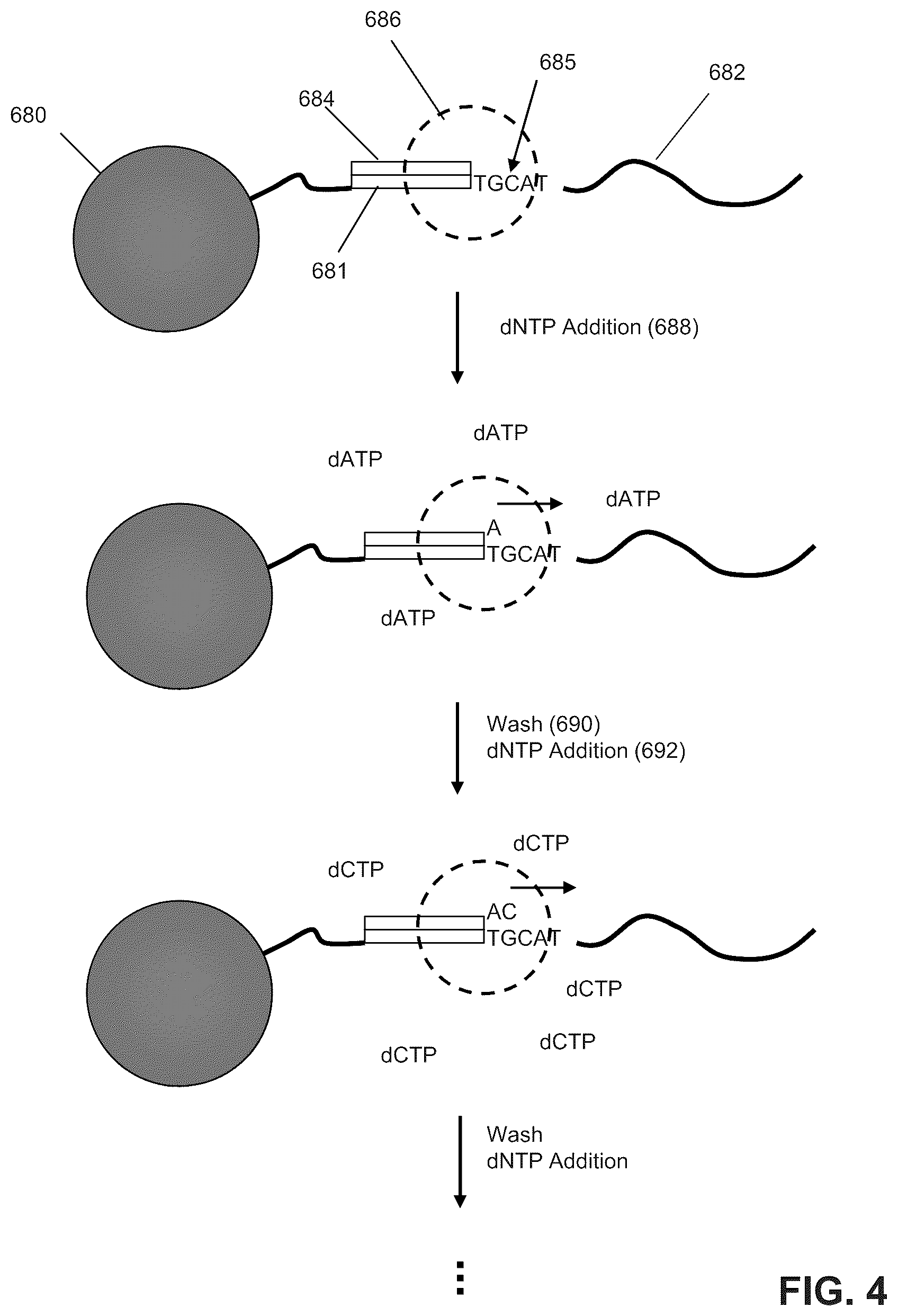 Patent US12098424 Figure 4 – Control nucleic acid sequences for use in sequencing-by-synthesis and methods for designing the same