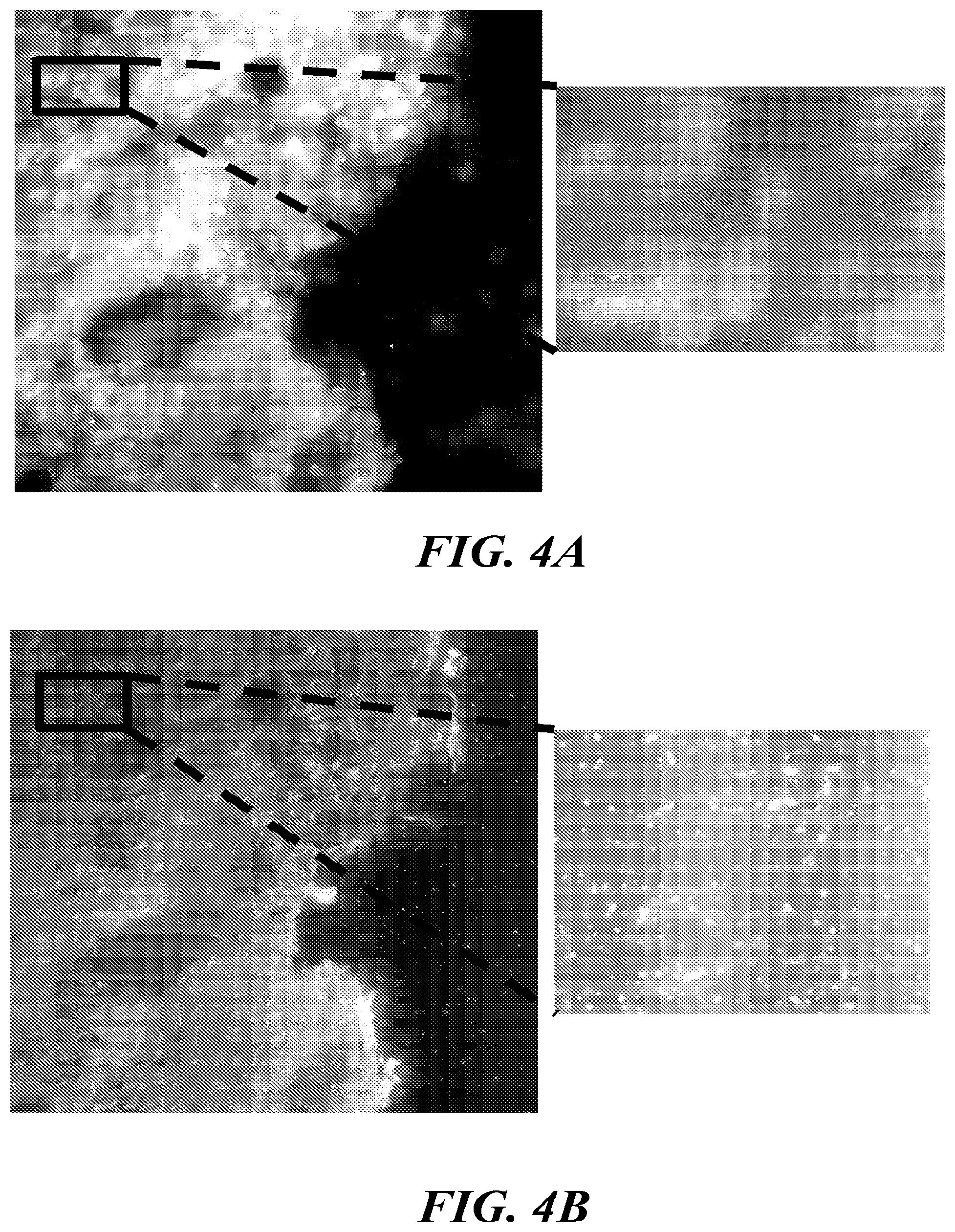 Patent US12098425 Figure 4 – Three-dimensional spatial molecular indexing