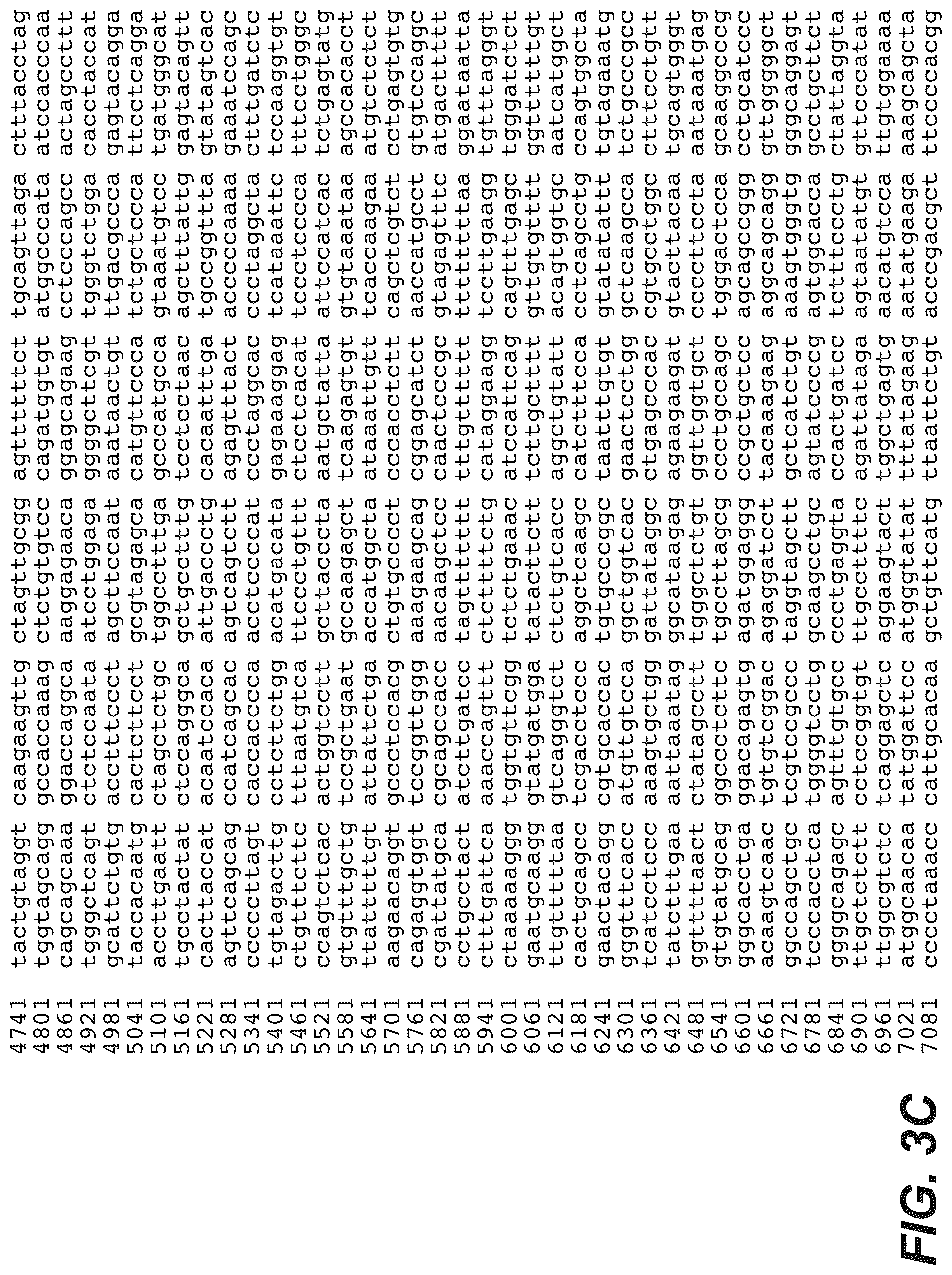 Patent US12098426 Figure 5 – Gene expression markers and treatment of multiple sclerosis