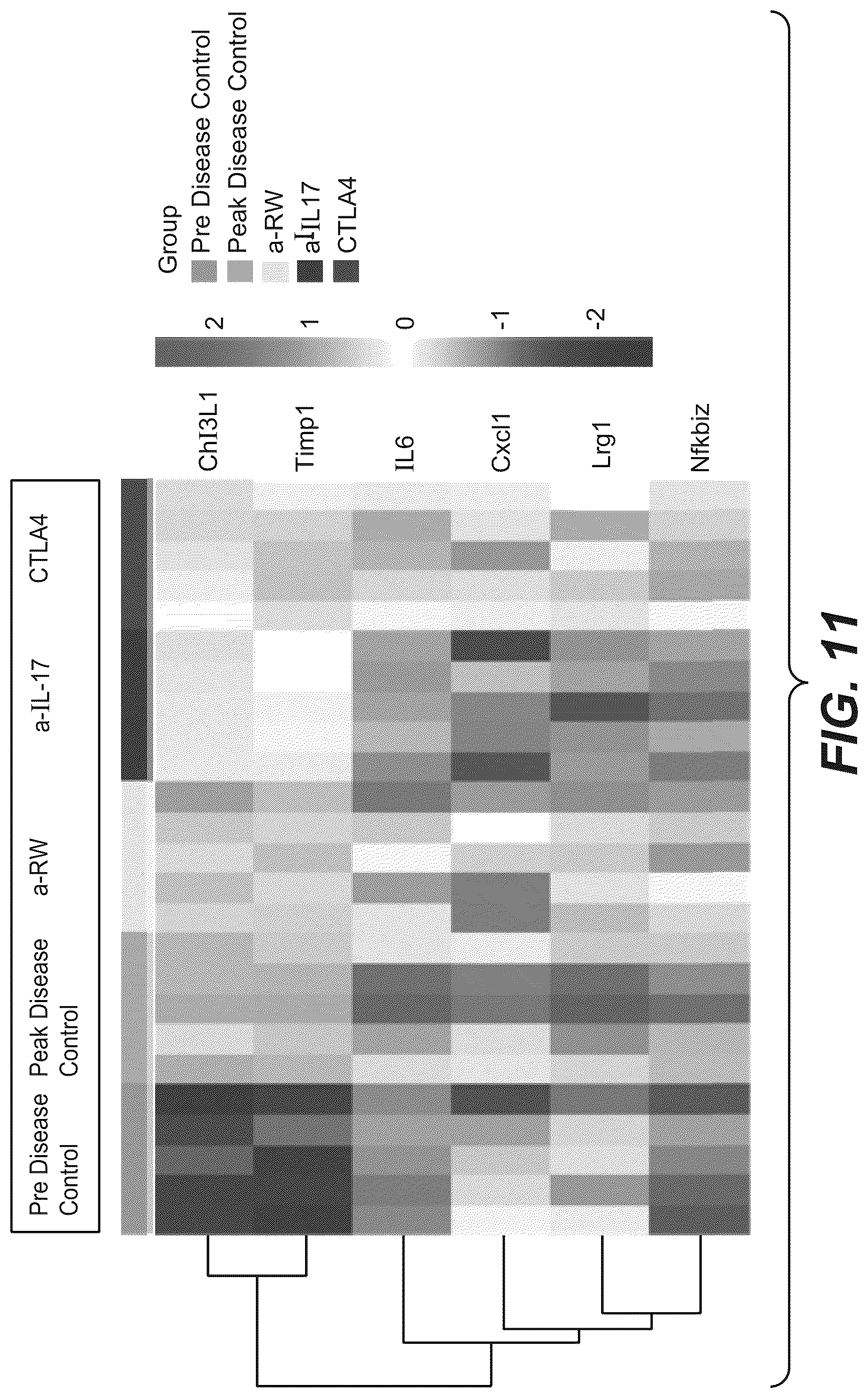 Patent US12098426 Figure 18 – Gene expression markers and treatment of multiple sclerosis