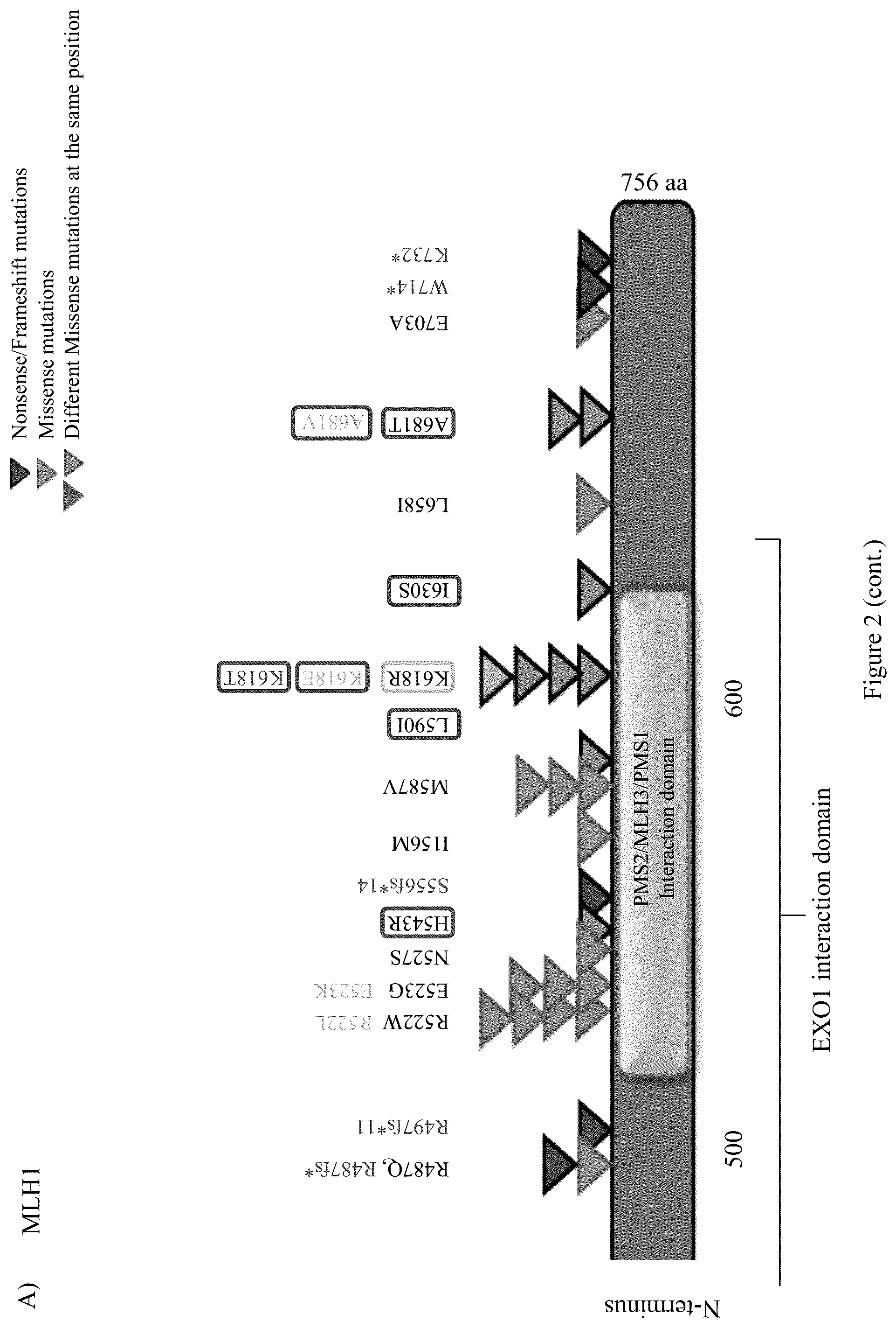 Patent US12098428 Figure 3 – Frequent EGFR and NTRK somatic mutations in colorectal cancer (CRC) with microsatellite instability (MSI)