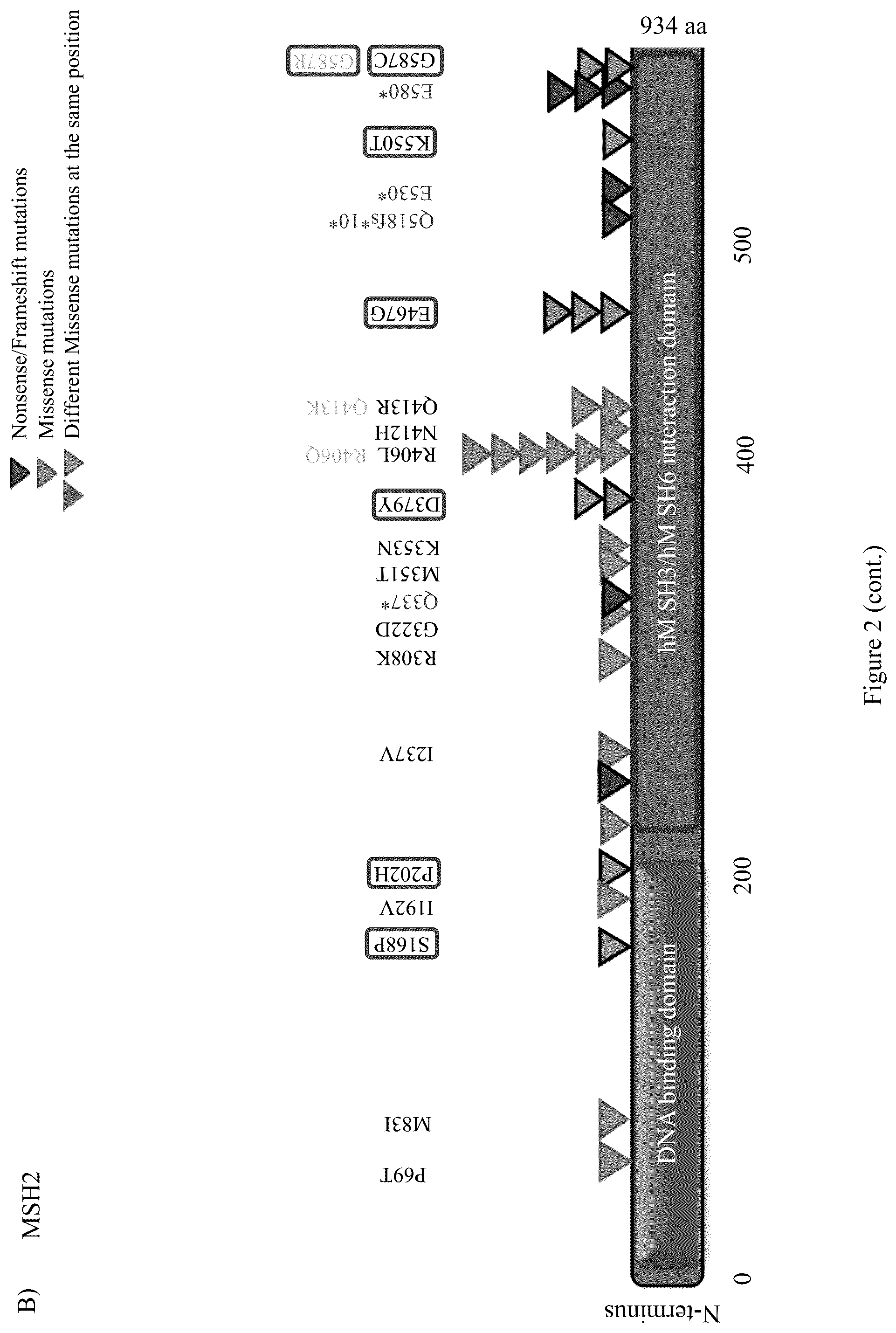 Patent US12098428 Figure 4 – Frequent EGFR and NTRK somatic mutations in colorectal cancer (CRC) with microsatellite instability (MSI)