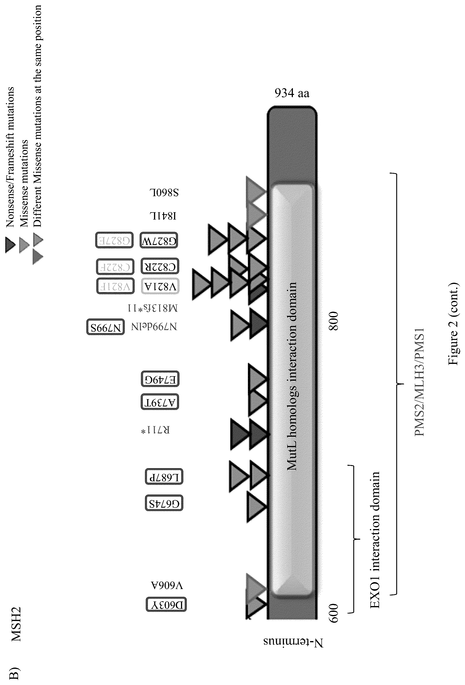 Patent US12098428 Figure 5 – Frequent EGFR and NTRK somatic mutations in colorectal cancer (CRC) with microsatellite instability (MSI)